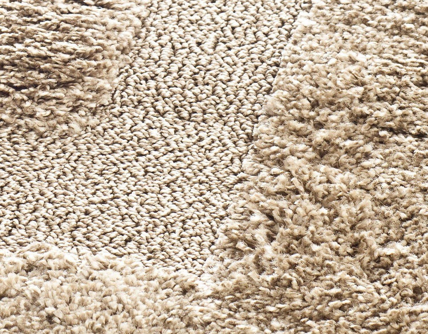 SAFAVIEH Florida Mason Bordered Shag Area Rug, Beige, 8'6" x 12'