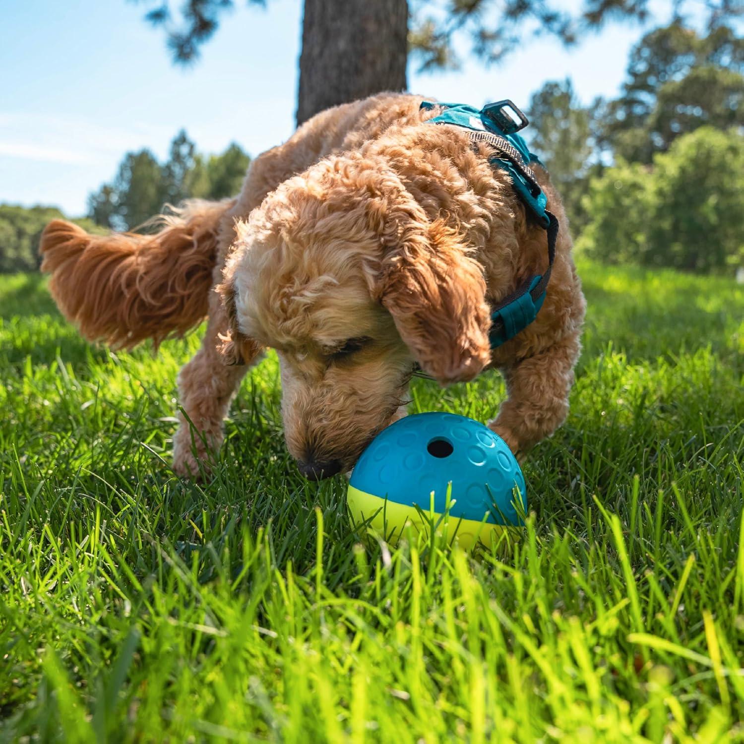 Nina Ottosson by Outward Hound Treat Tumble Interactive Puzzle Dog Toy, Blue, Small