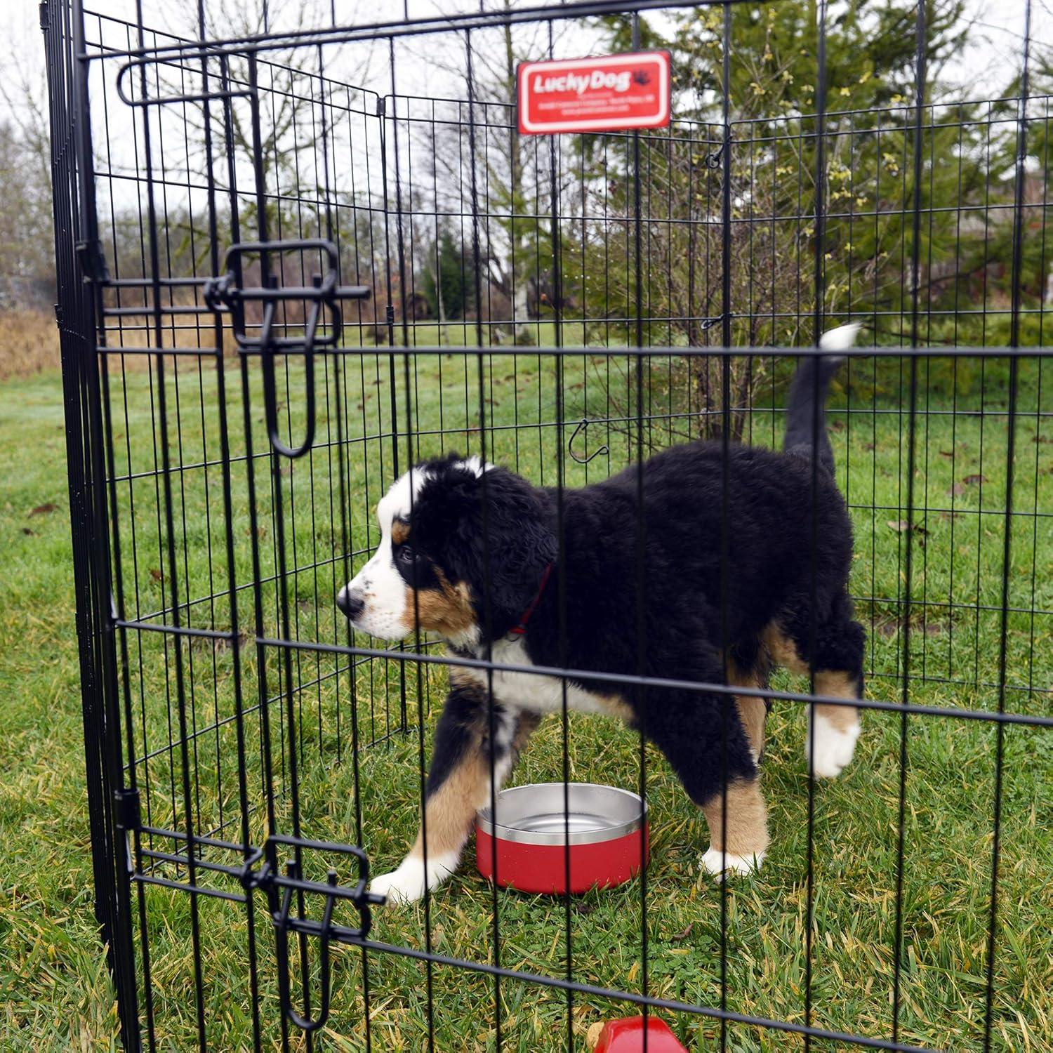 36-Inch Black Metal Foldable Pet Exercise Pen with Gate