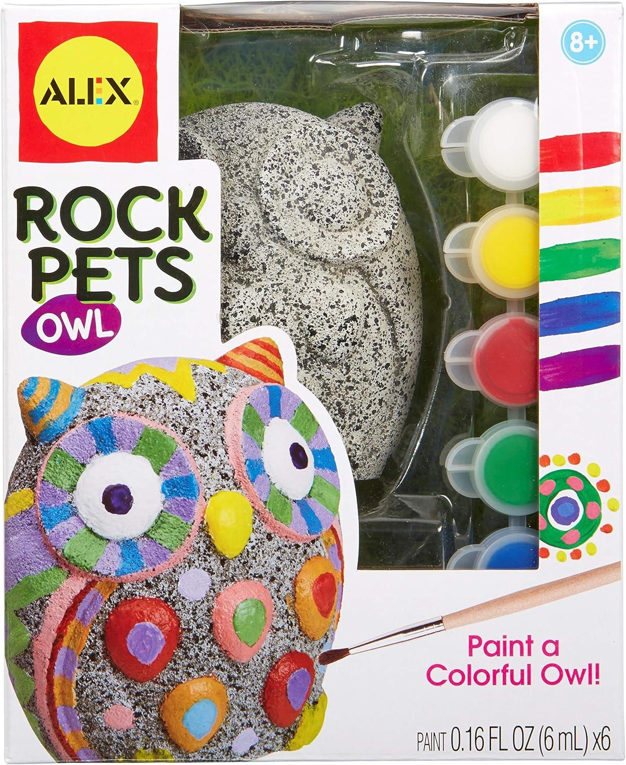 Colorful Owl Rock Painting Kit for Kids