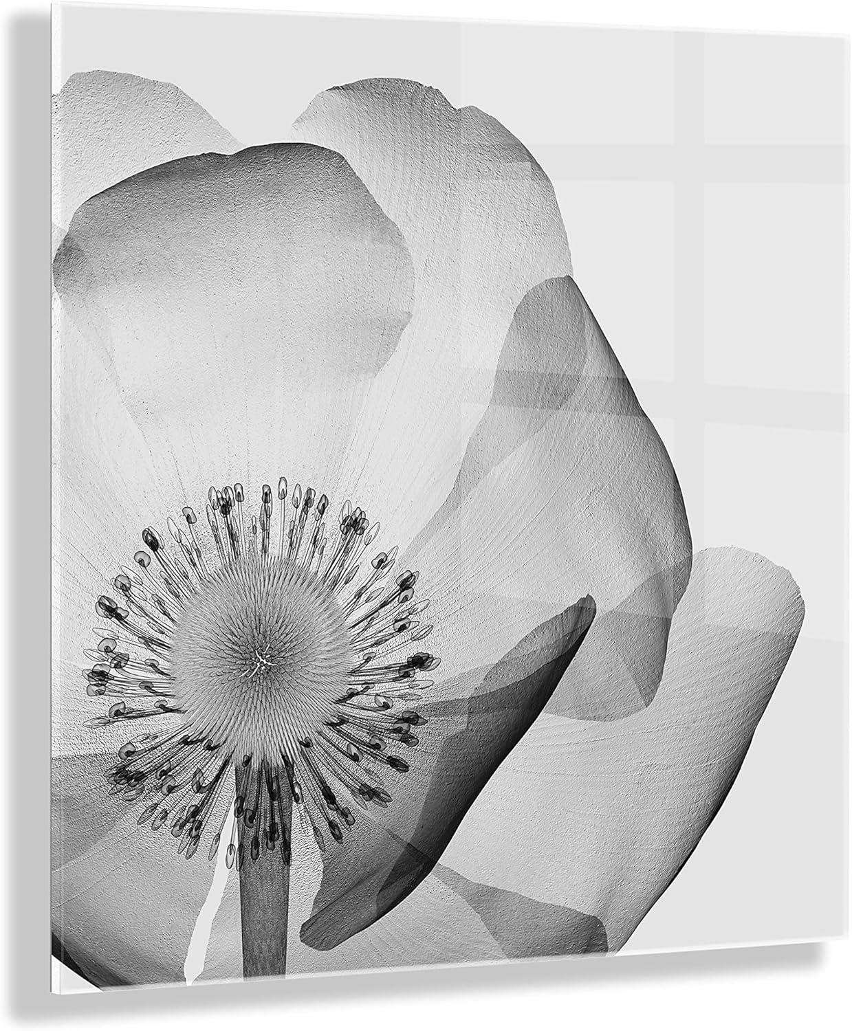 23" x 23" Poppy Ray Floral Floating Acrylic Wall Canvas: Modern Decor by Kate & Laurel