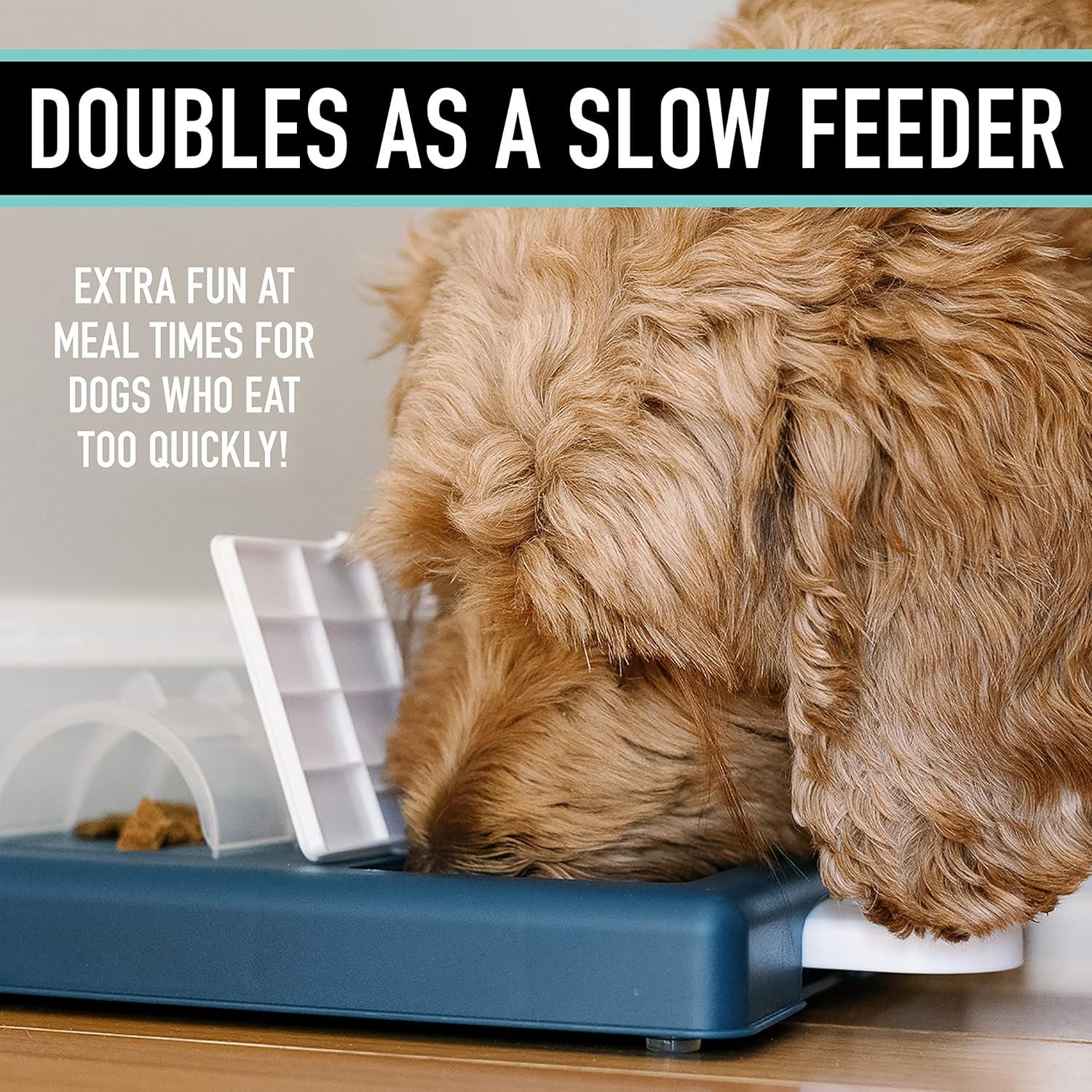 Franklin Pet Supply Interactive Dog Toy + Puzzle Feeder - Dog Food + Treat Puzzle Game Set for Small, Medium + Large Dogs - Enrichment Training Toy + Slow Feeder for All Dogs
