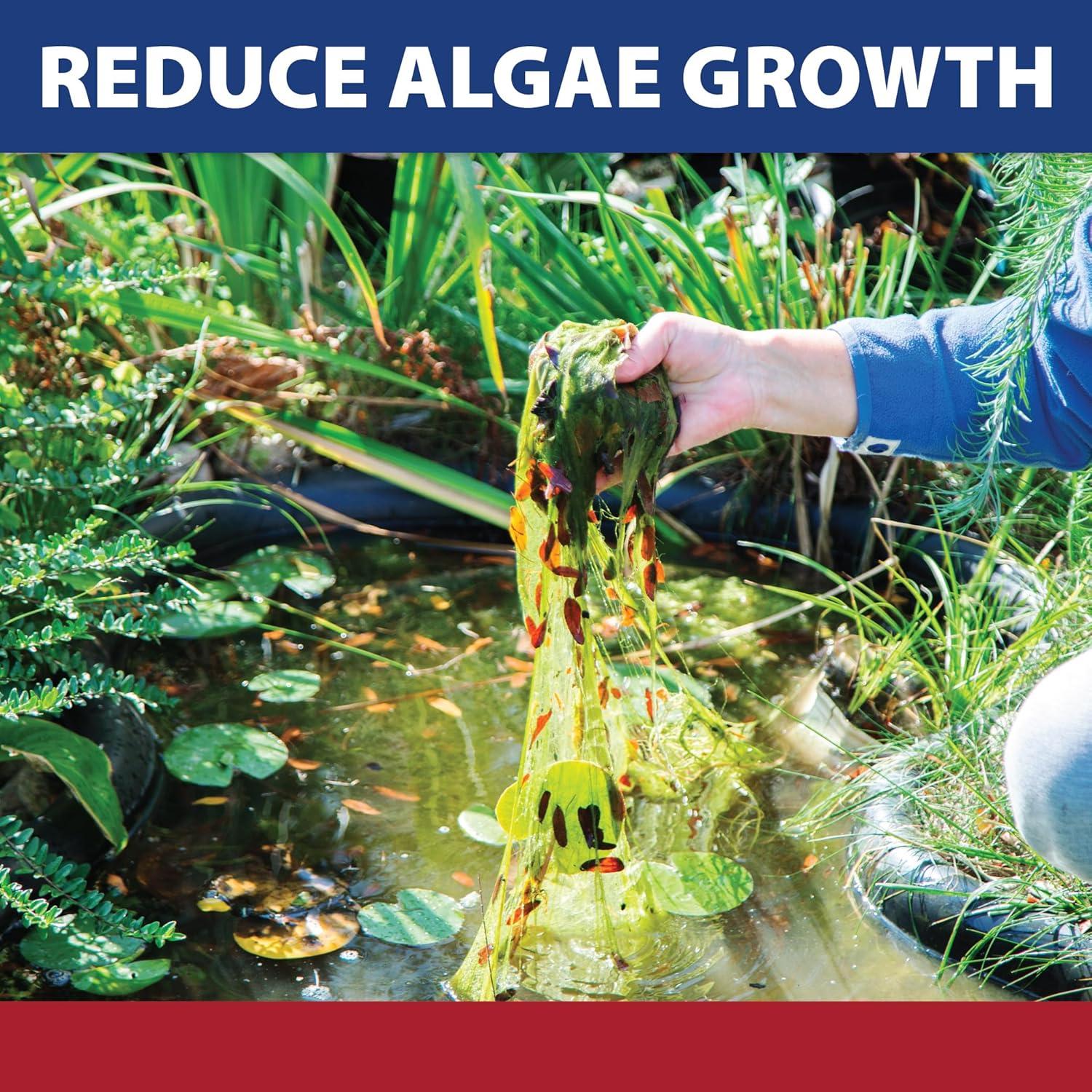 The Pond Guy InstaFix Algae Control, Outdoor Water Garden, Fountain & Birdbath Algae Solution, EPA Registered Liquid Algaecide, Control Green Water & String Algae, Bird, Fish & Pet Safe, 16 OZ