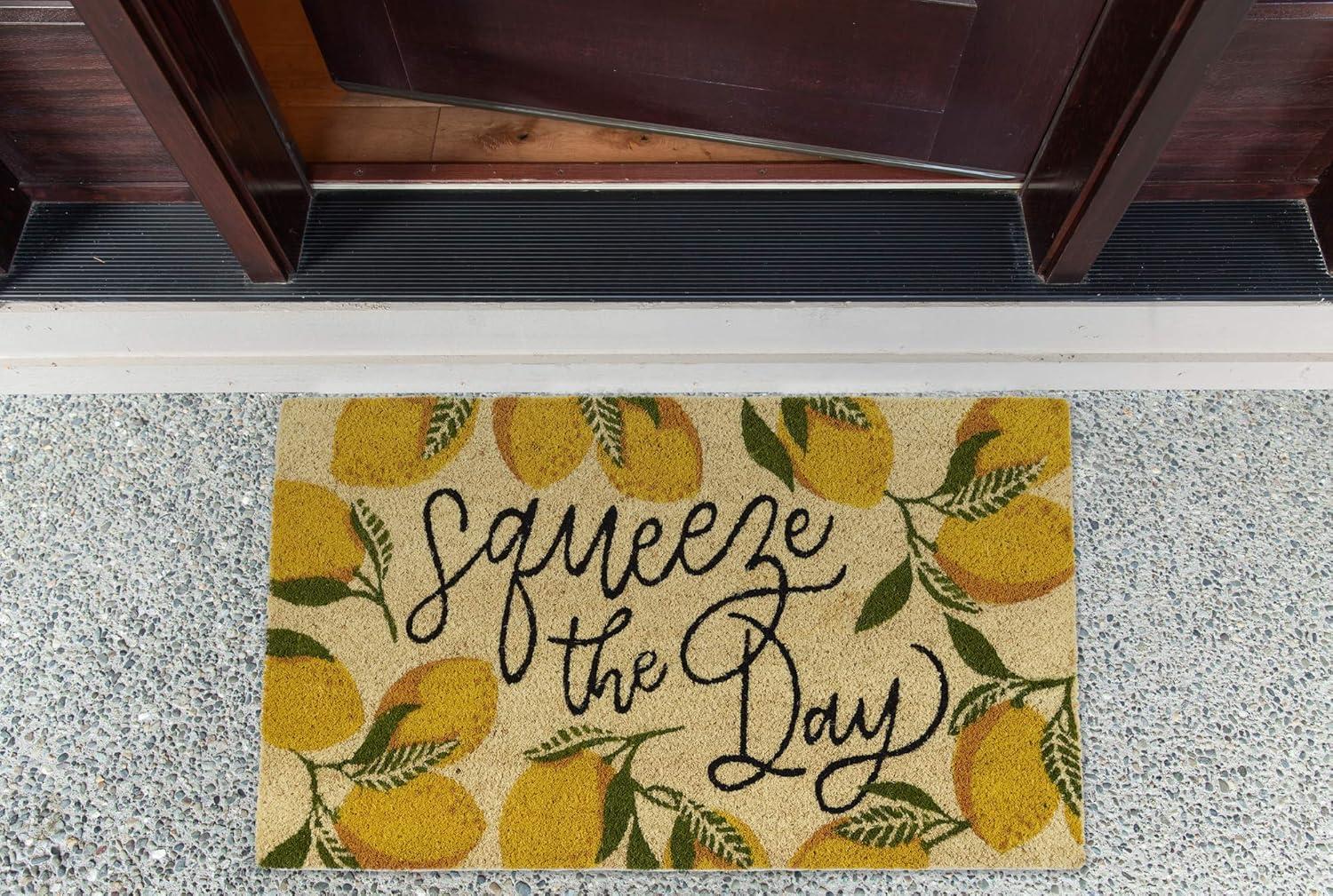 DII Natural Coir Doormat, Fun Greeting Mat, Squeeze The Day, 17x29"