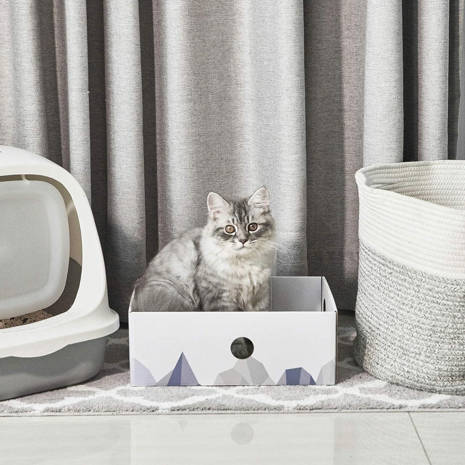 Conlun Cat Scratcher Cardboards with Box, 5-Pack Replacement Reversible Cat Scratcher Pad, Large