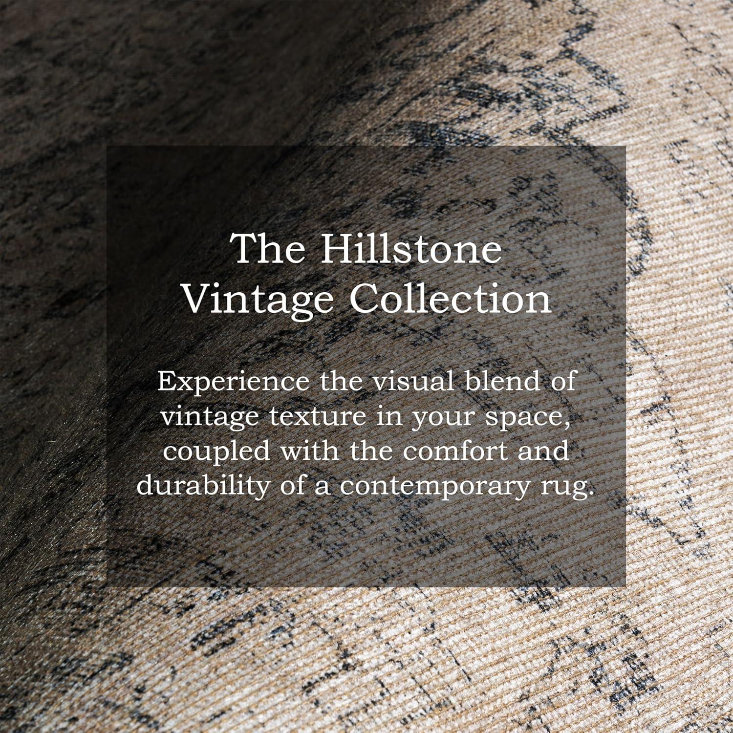 Nuloom Hillstone Collection Brinly Traditional Vintage Medallion Area Rug, 9' x 12', Light beige