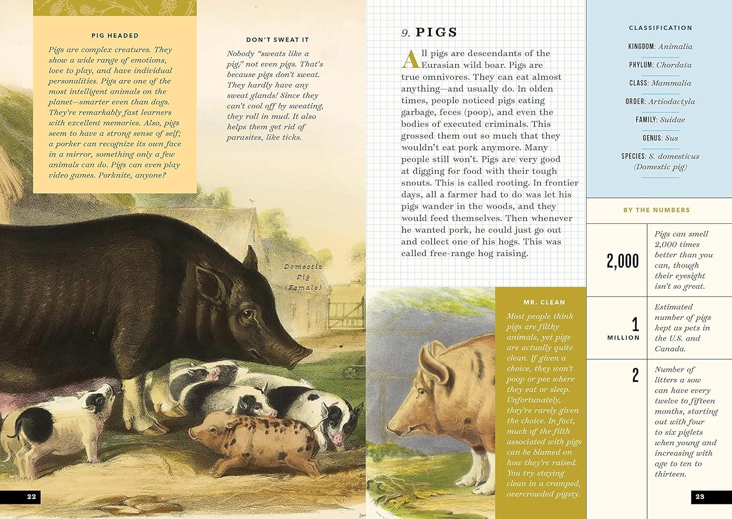 The Little Book of North American Mammals: A Guide for Kids