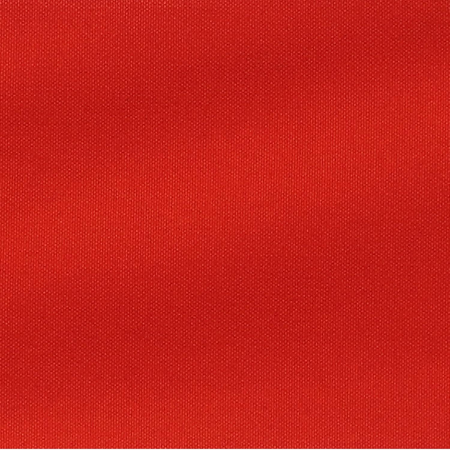 30" Director's Chair Black Frame-Red Canvas