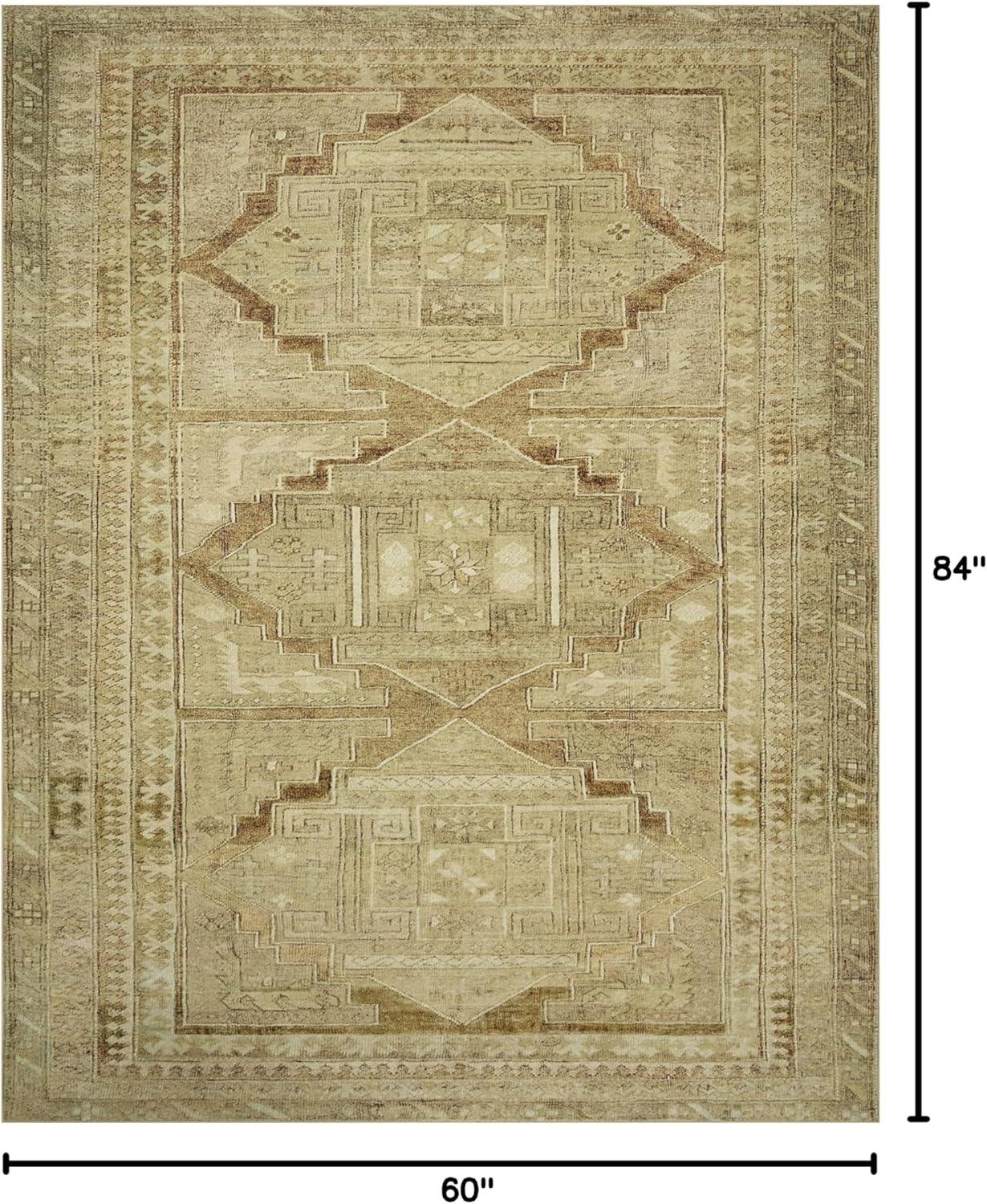 Sinclair II Rug by Magnolia Home by Joanna Gaines x Loloi - Khaki and Tobacco / 5' x 7'