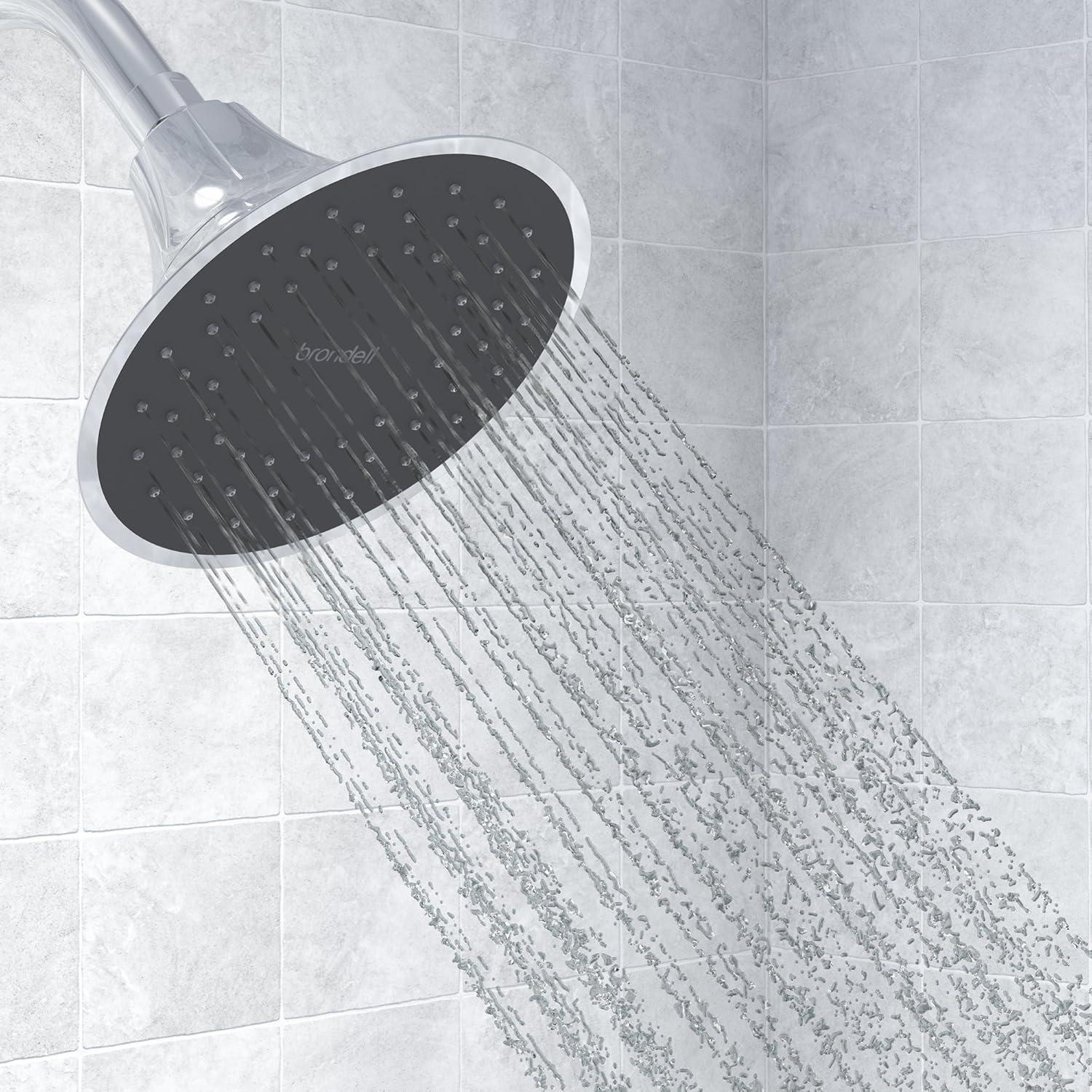 Chrome Handheld Rain Shower Head with Filter