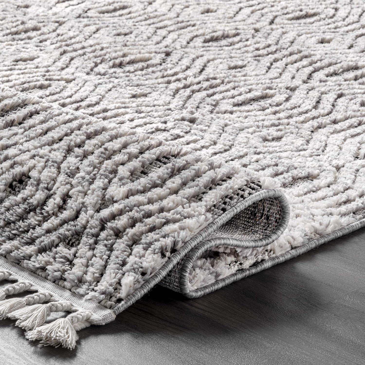 Nuloom Arielle Soft Trellis Textured Tassel Indoor Area Rug, 4' x 6'