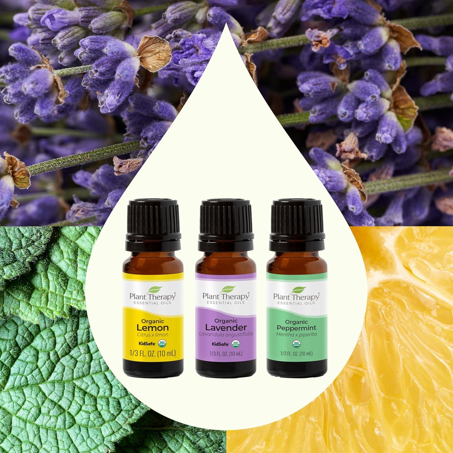 Plant Therapy Top 3 Organic Singles Set 10 mL (1/3 oz) Lemon, Lavender & Peppermint 100% Pure, Undiluted, Natural Aromatherapy