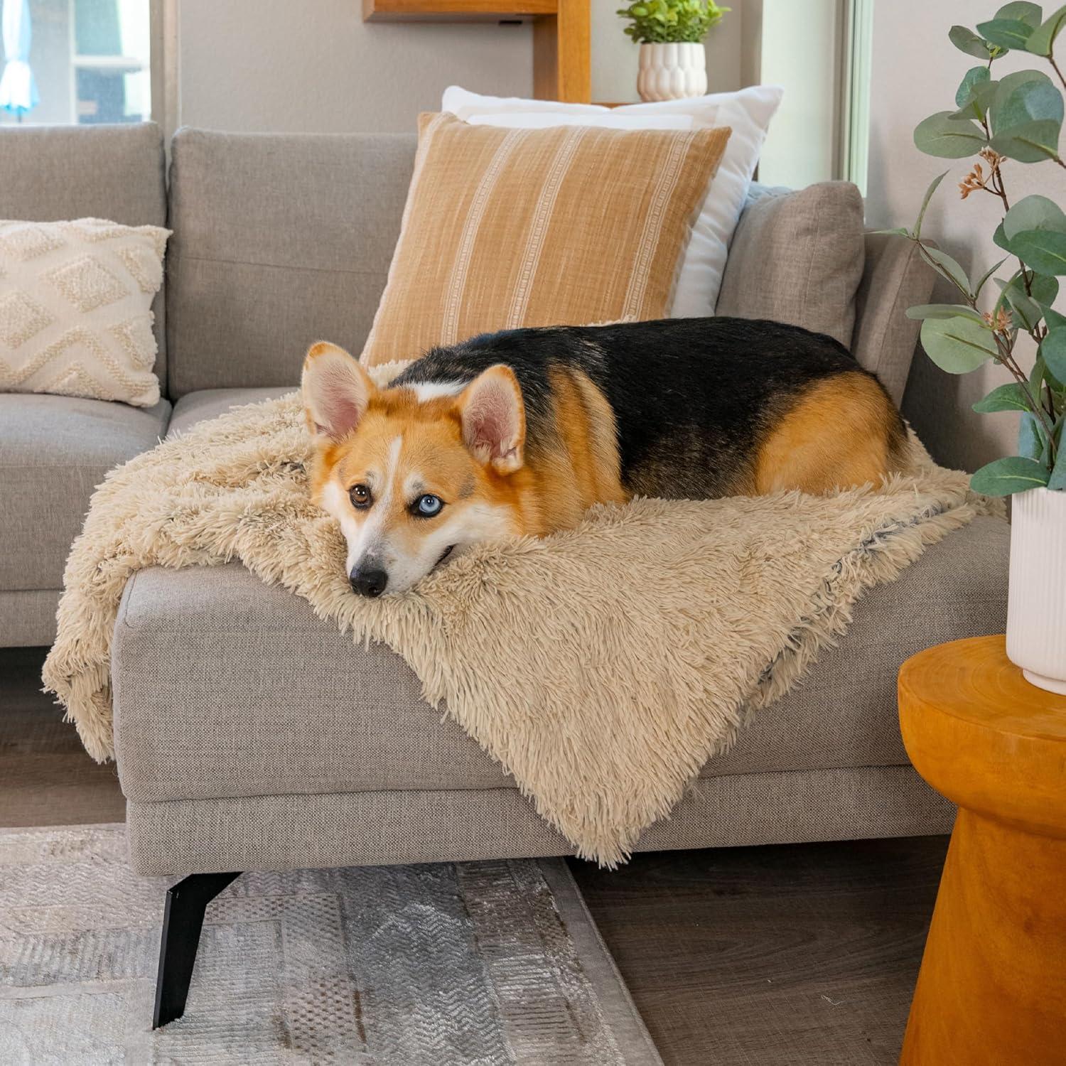 Best Friends by Sheri Calming Shag Fur Pet Throw Blanket