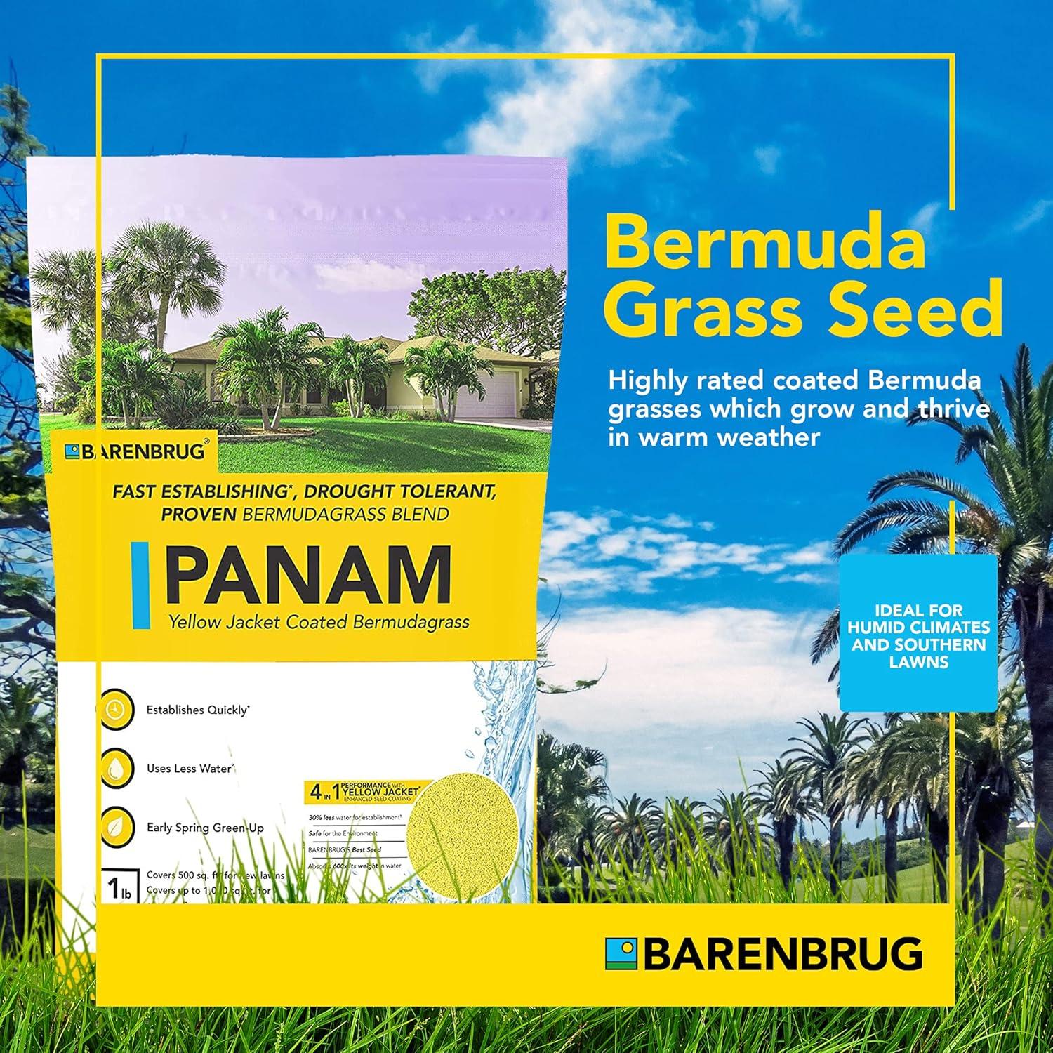PanAm Bermuda Grass Seed Blend for Sunny Areas, 25 LB Bag
