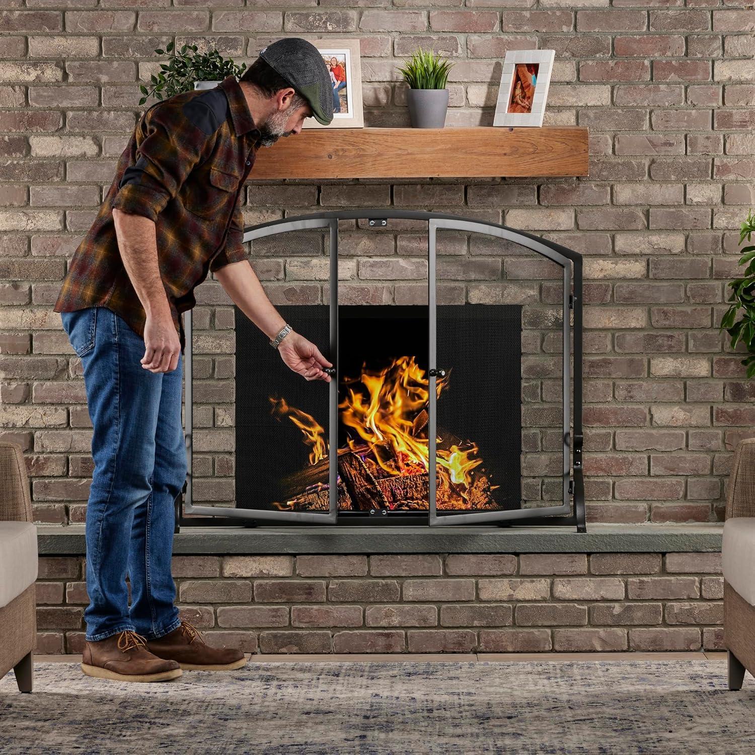 Large Black Iron Single Panel Fireplace Screen with Doors