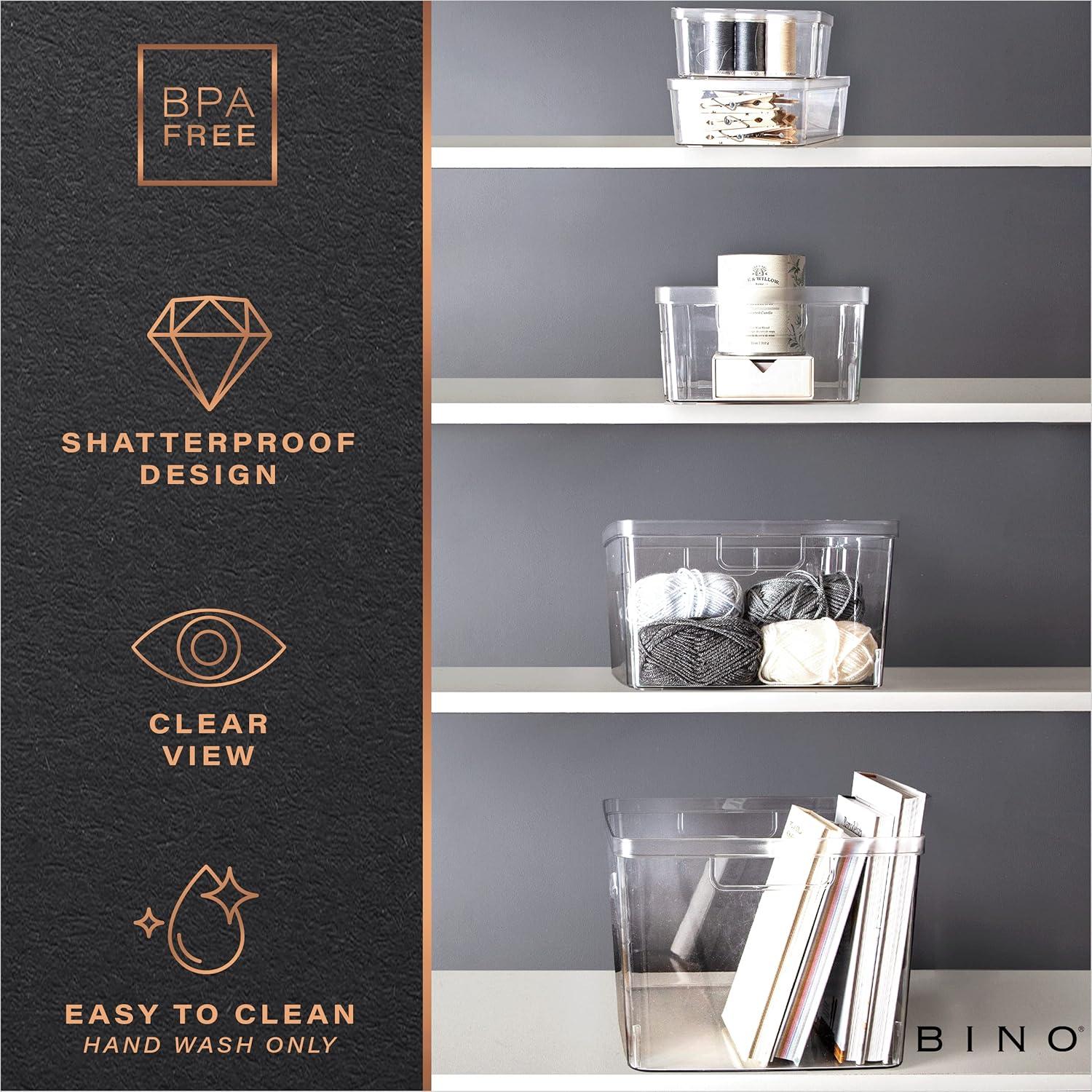 BINO | Plastic Storage Bins, Medium - 2 Pack | THE LUCID COLLECTION | Multi-Use Built-In Handles | BPA-Free | Clear Storage Containers | Fridge Organizer | Pantry & Home Organization