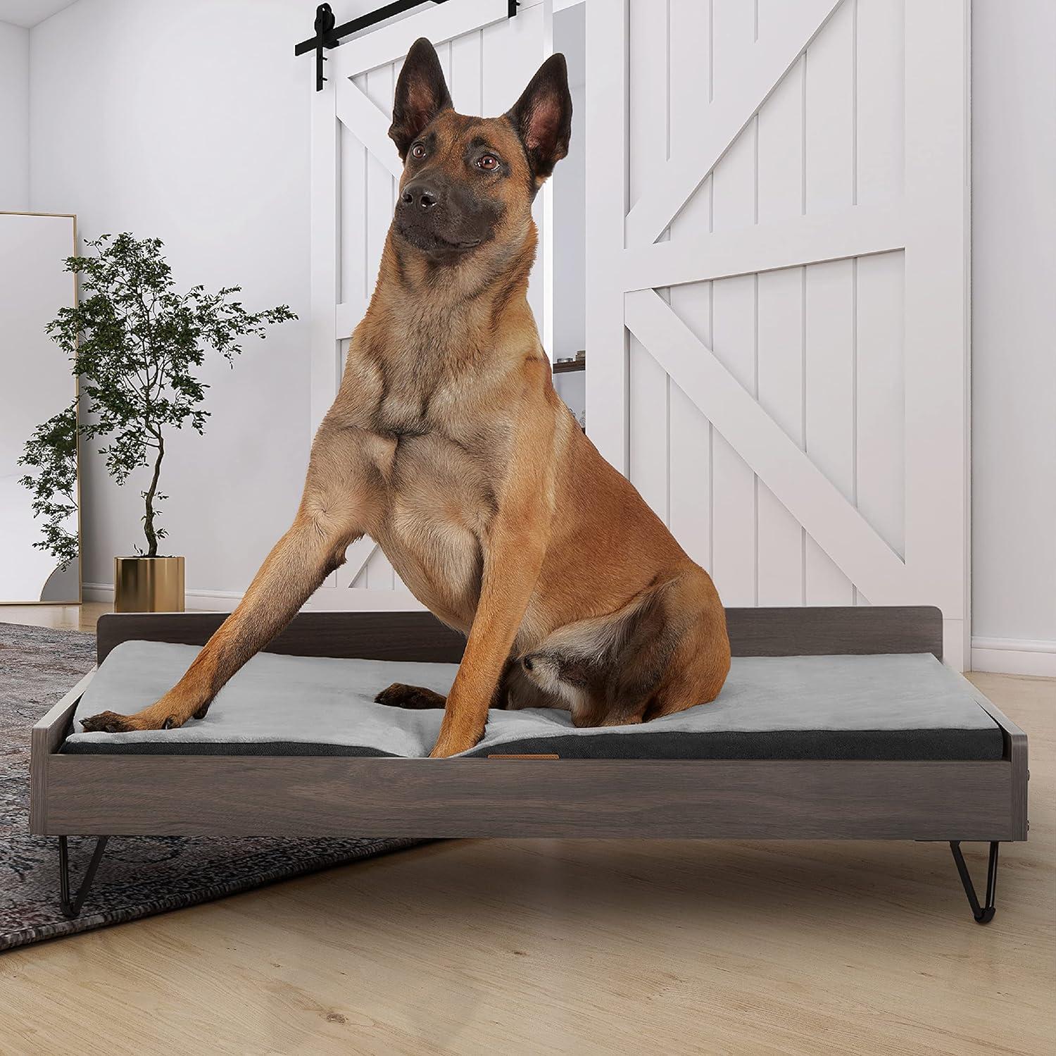 TailZzz Chase Greenguard Gold Certified Pet Bed with Mattress - Large to Extra Large Elevated Wooden Pet Bed with Water-resistant Mattress