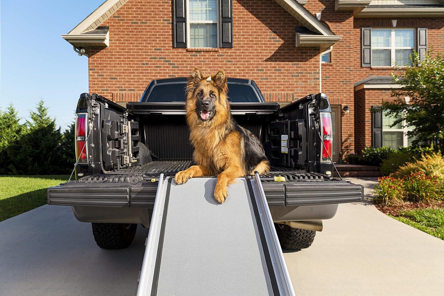 PetSafe Deluxe Telescoping Pet Ramp for Dogs and Cats, Portable, Leightweight, X-Large, 47 in. - 87 in.