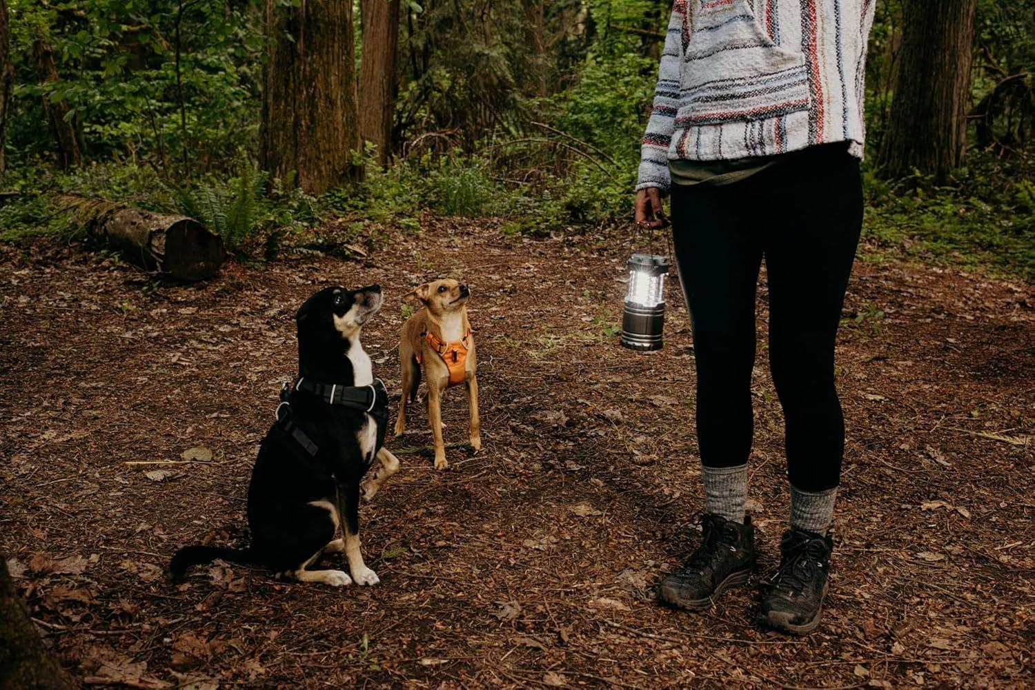 Pop up LED Lantern -2 Pack - Perfect Lighting for Camping, Bbq's and Emergency Light (.5 lbs Each)