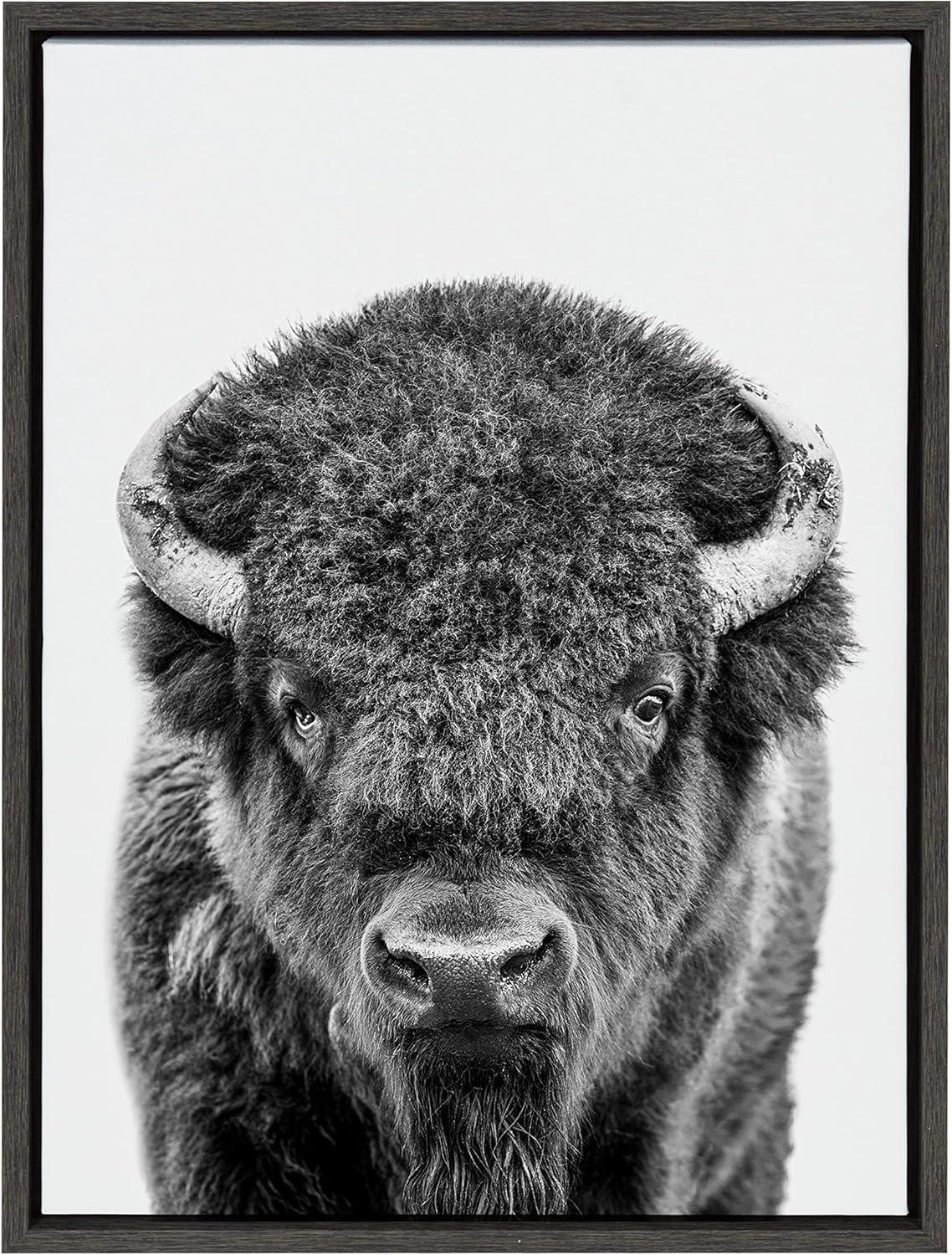 Sylvie Bison Portrait Black and White Frame Canvas by Amy Peterson Gray - Kate & Laurel All Things Decor