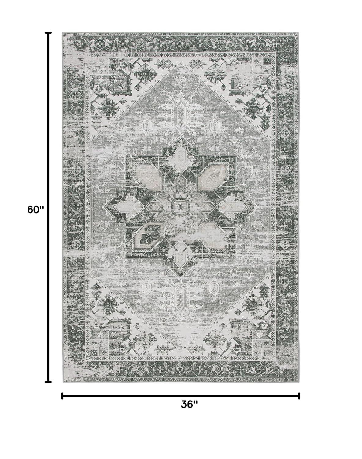Tucson TSN102 Power Loomed Machine Washable Area Rug - Dark Sage/Ivory - 3'x5' - Safavieh.