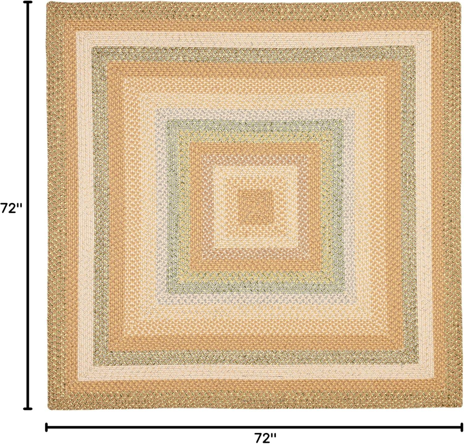 Braided BRD314 Hand Woven Area Rug - Tan/Multi - 6'x6' - Safavieh.