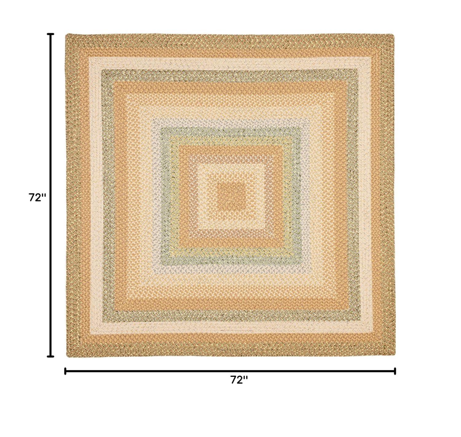Braided BRD314 Hand Woven Area Rug - Tan/Multi - 6'x6' - Safavieh.