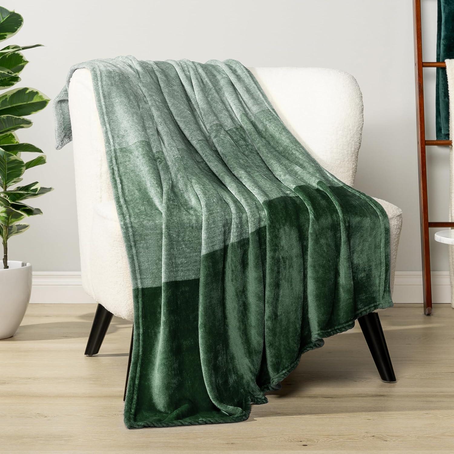 PAVILIA Premium Fleece Throw Blanket for Sofa Couch, Soft Flannel Plaid Stripe Decorative Print Blanket, Gradient - Green/Throw - 50x60