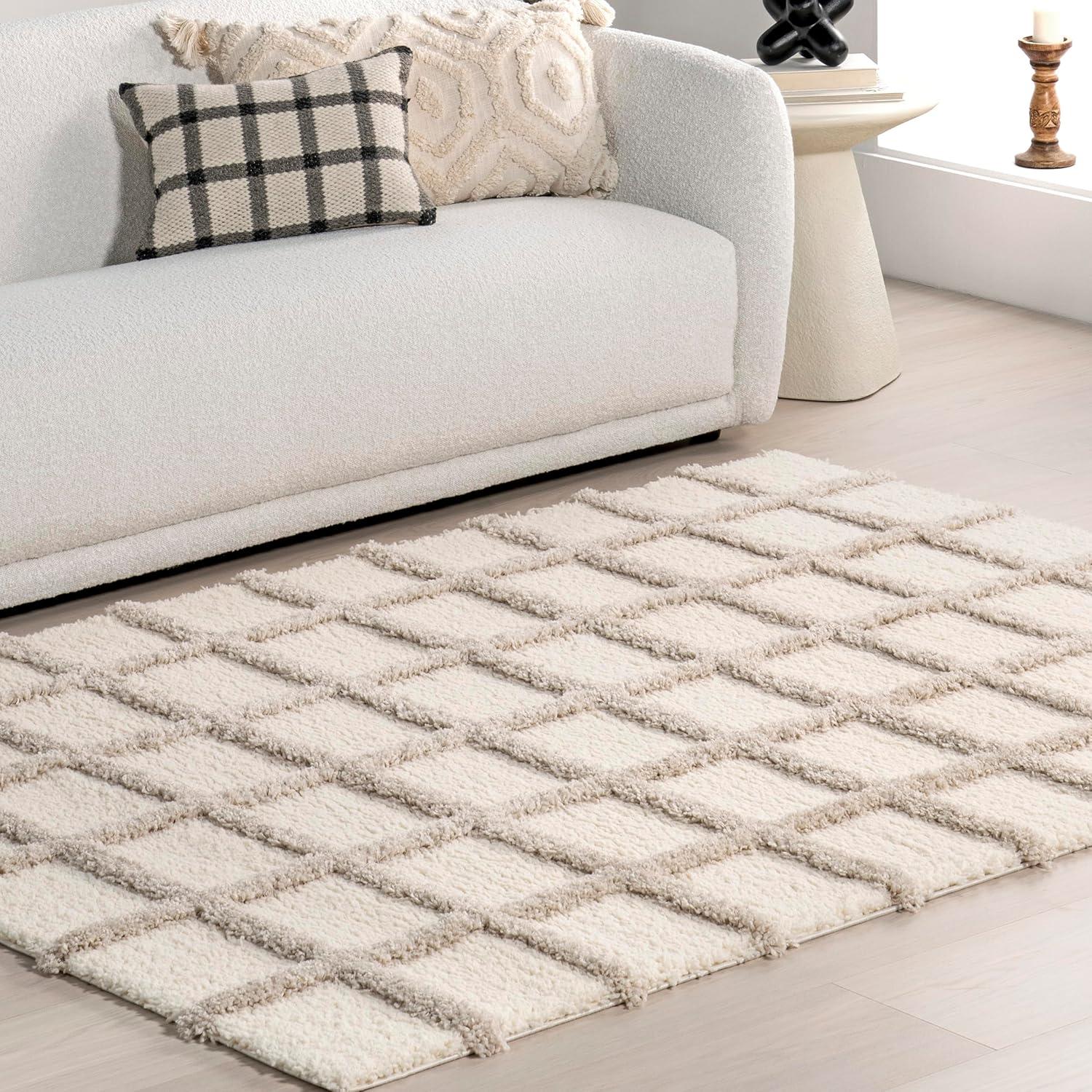 Nuloom Christabel Checkered High-Low Shag Indoor Area Rug