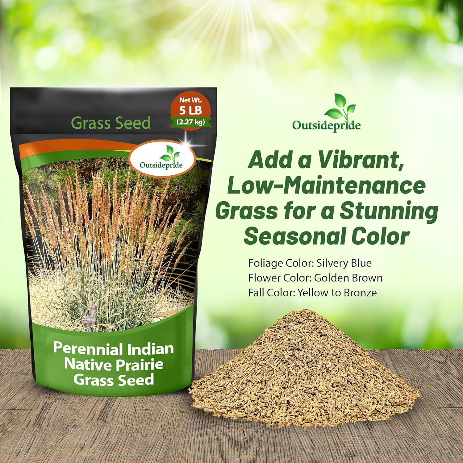 Outsidepride Indian Native Grass Seed - 5 lbs. Perennial, Low Maintenance, Drought-Tolerant Prairie Grass Seed for Wildlife Habitat, Livestock Forage, Ornamental Landscaping & Erosion Control