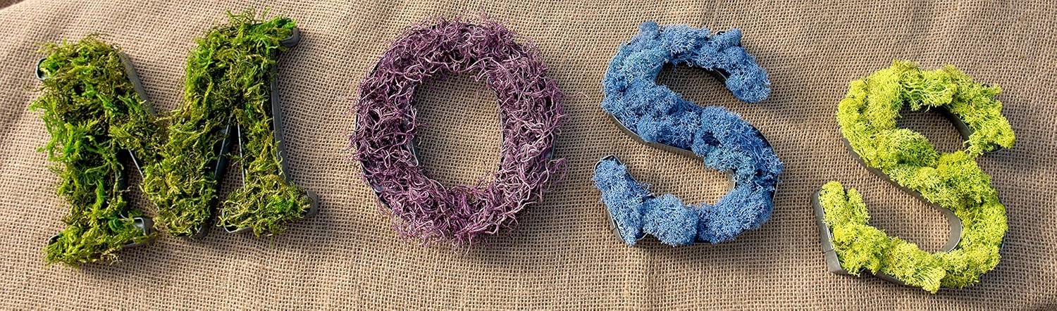 SuperMoss Preserved Forest Moss Decorative Filler: Basket Liner, Soil Topper, Craft Projects - Green