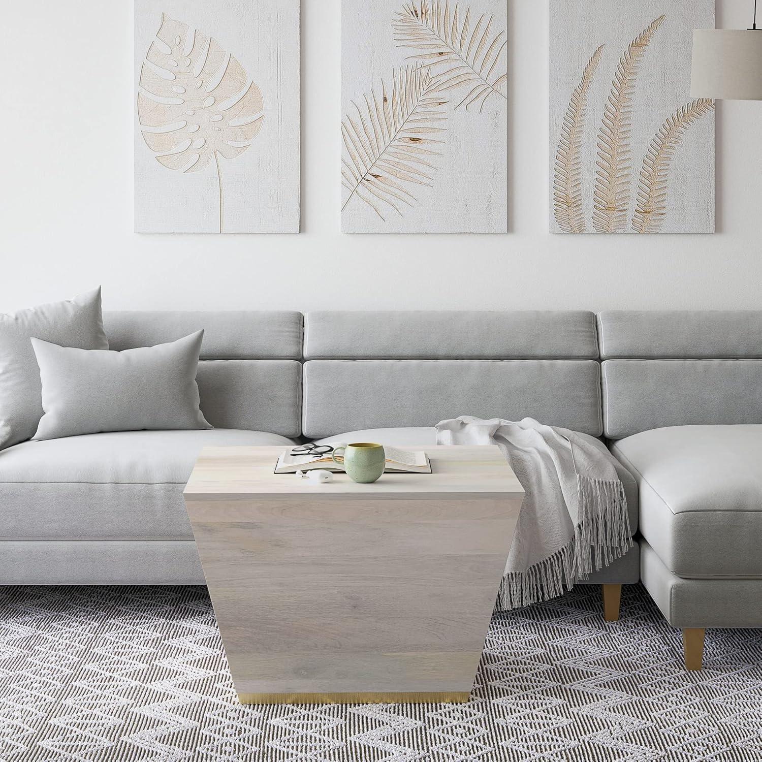 Simpli Home Abba SOLID MANGO WOOD 28 inch Wide Square Modern Coffee Table in White Wash , Fully Assembled