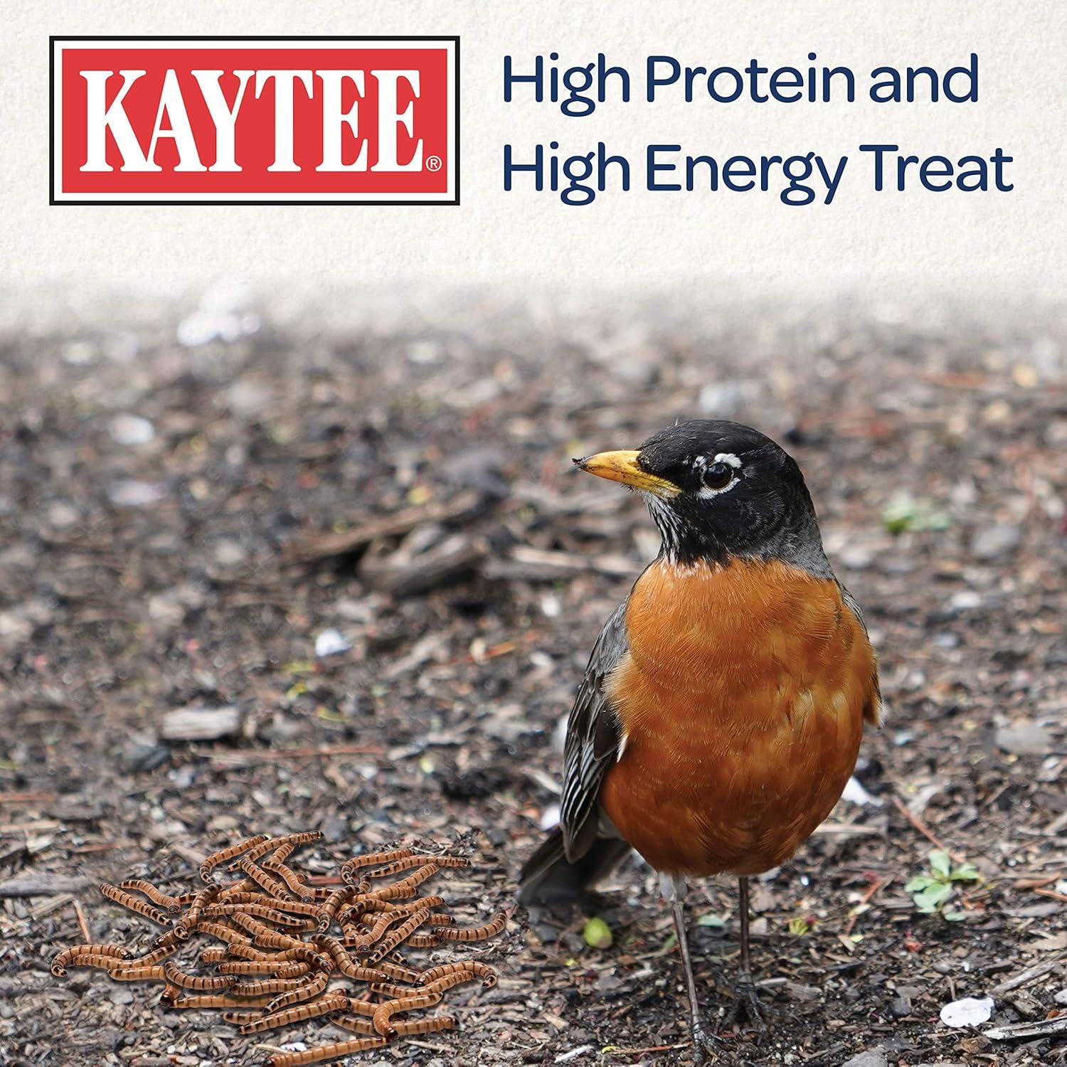 Kaytee Bluebird Dried Mealworm Mealworms 3.5 oz