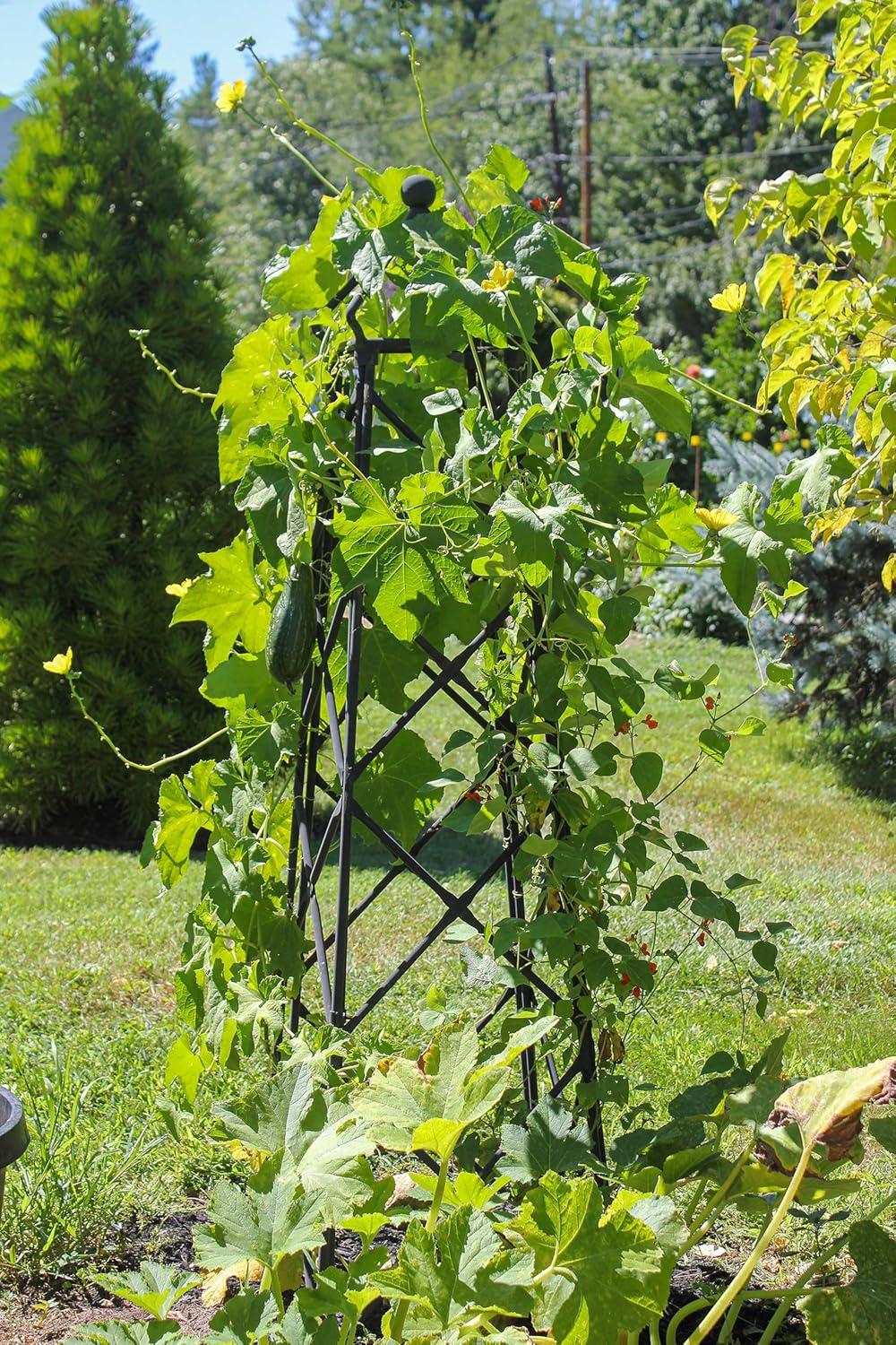 Cambridge Lattice Obelisk