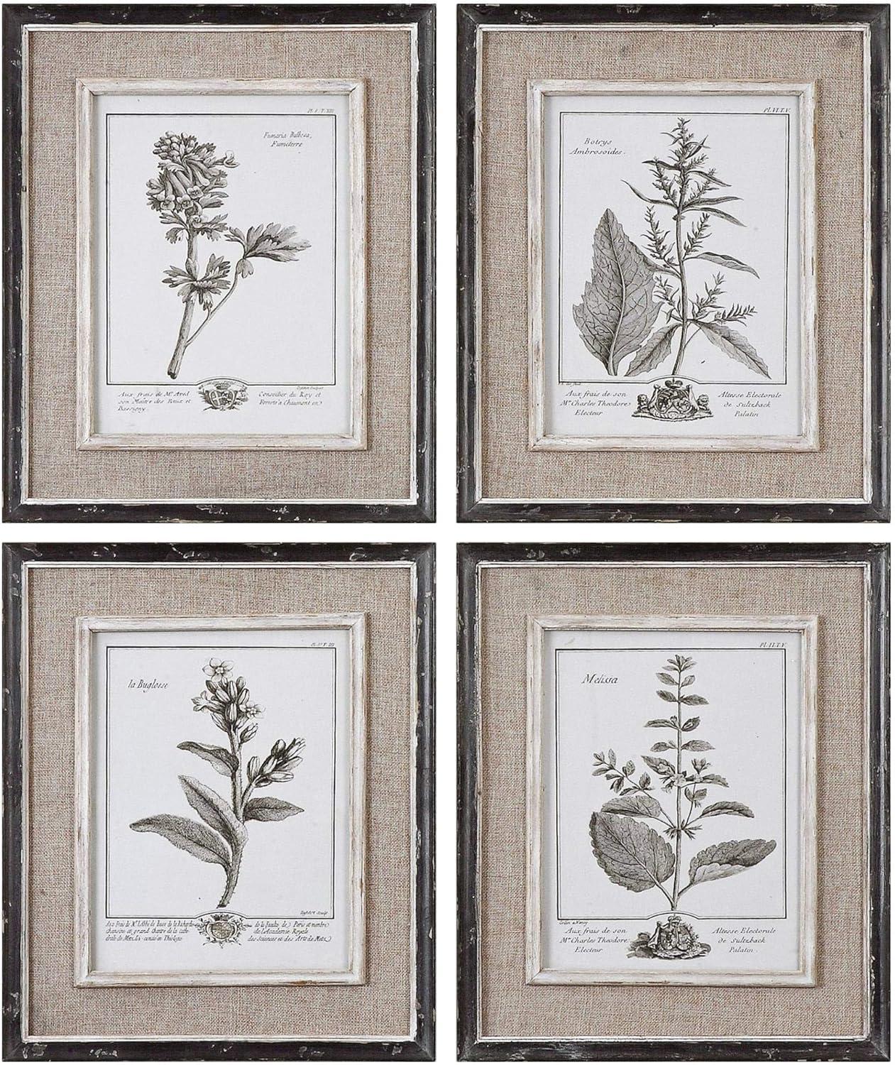 Gray Botanical Antique Art 4-Piece Framed Wall Decor Set