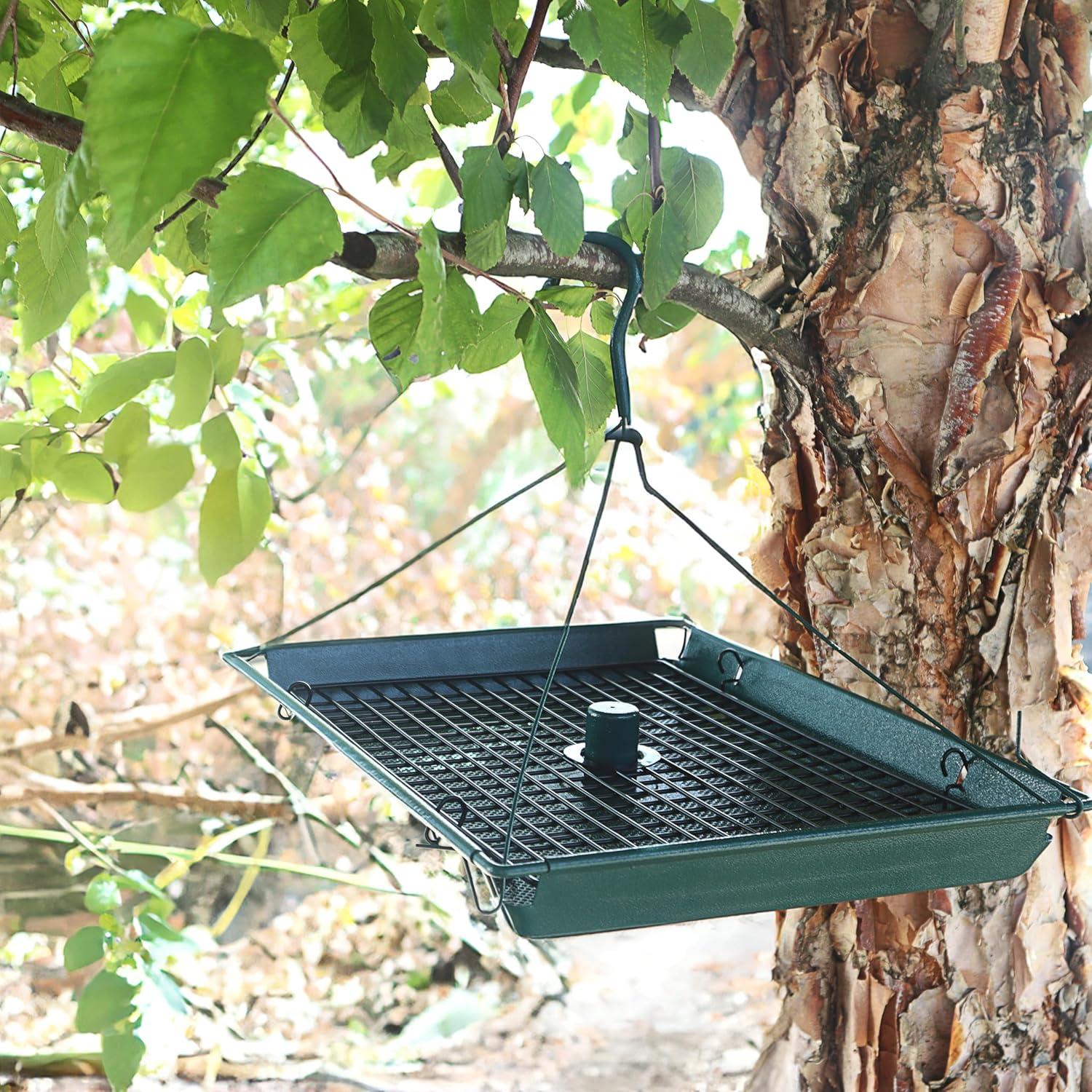 Zenport Z203009 2-in-1 Platform Bird Feeder