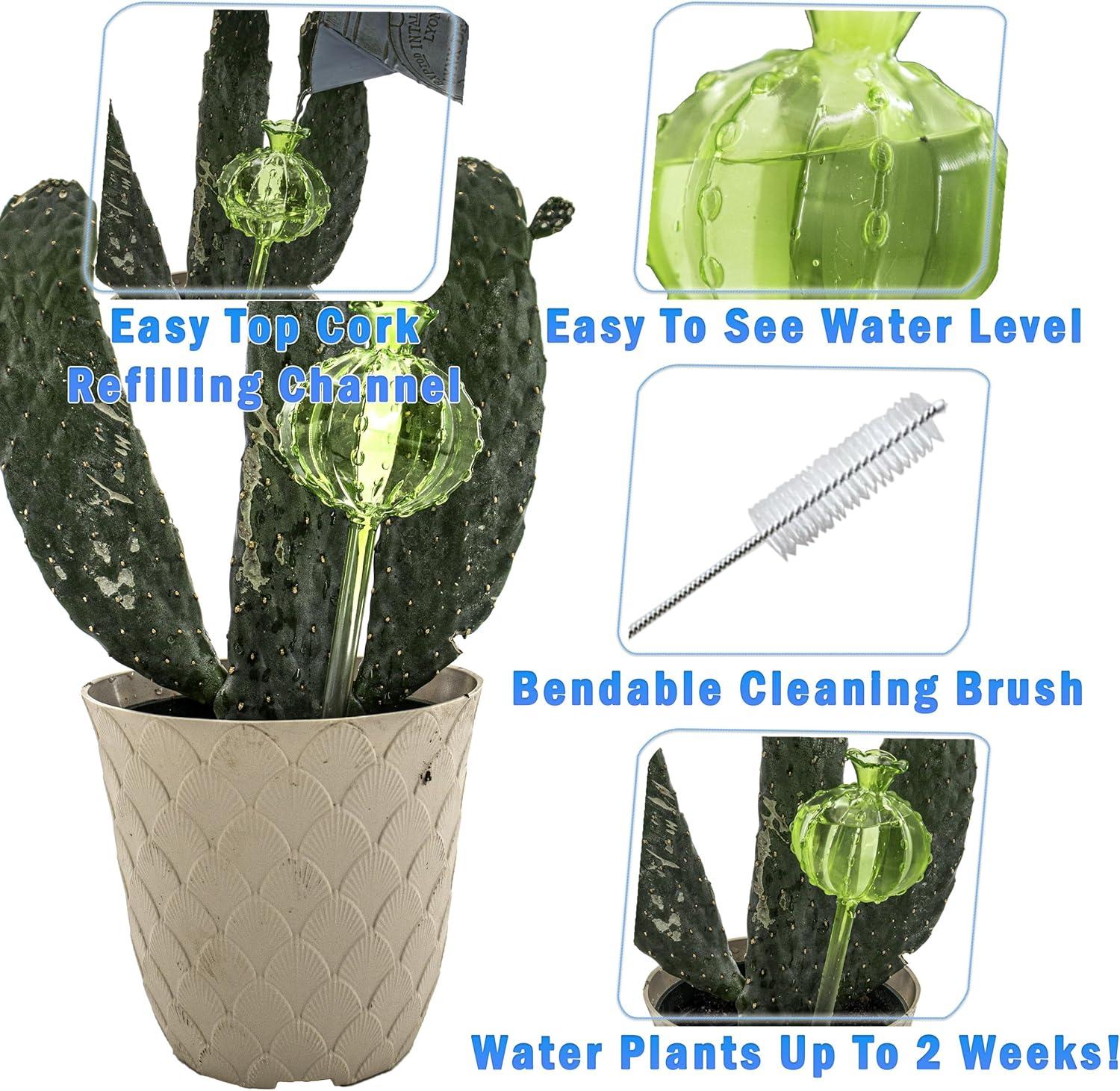 Large Multicolor Hand Blown Glass Plant Watering Globes Set