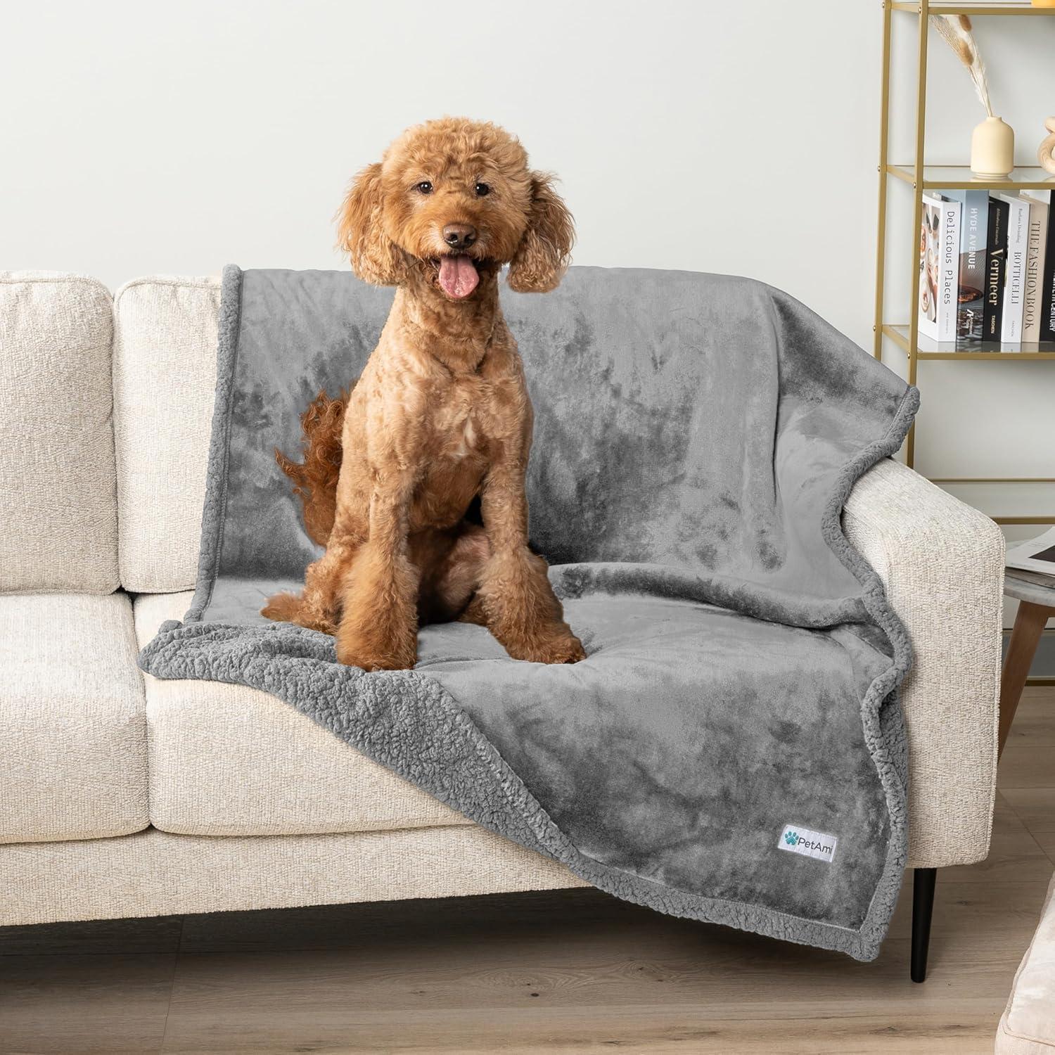 PetAmi Outdoor Pet Blanket