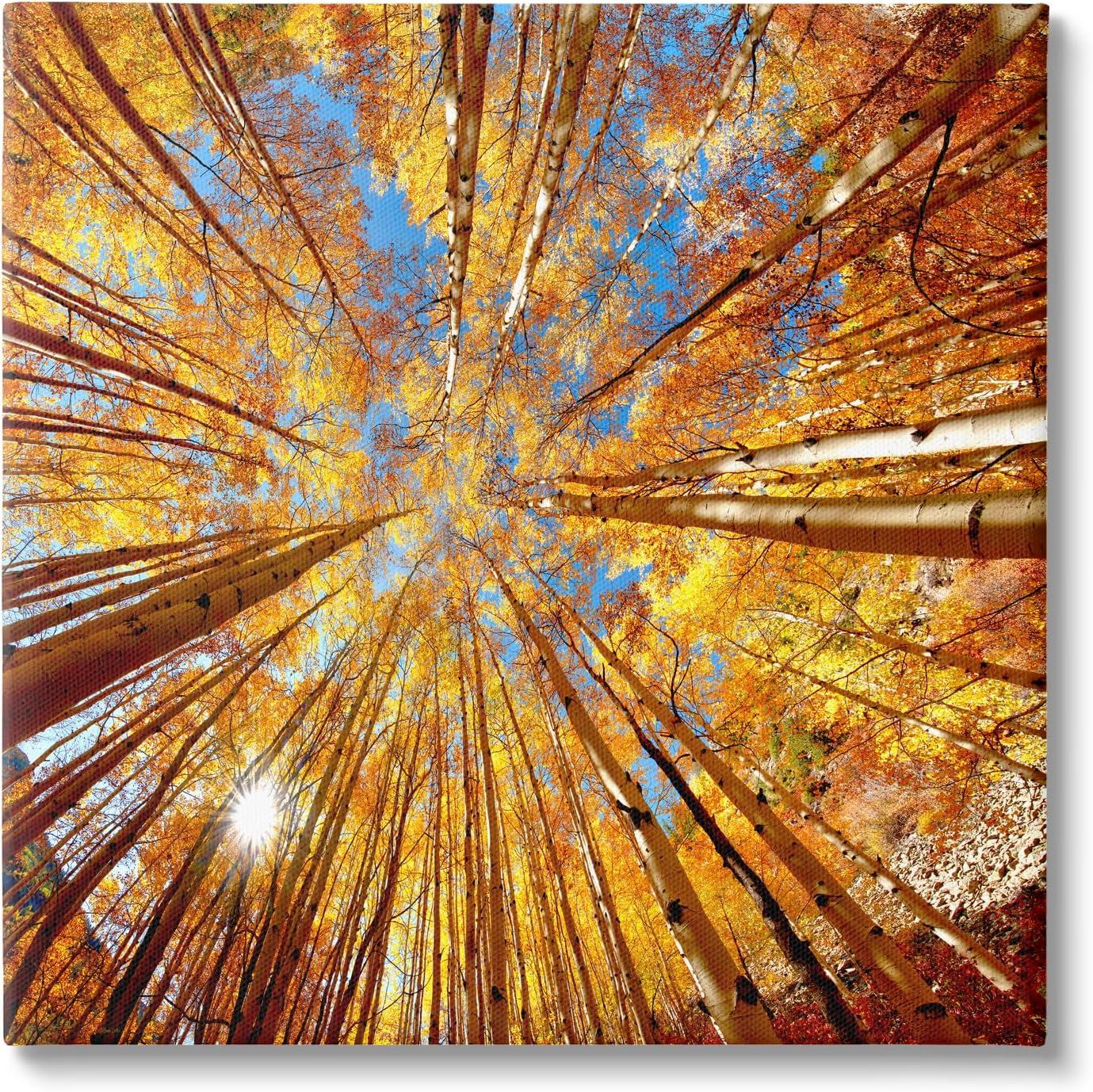 Stupell Industries Colorado Autumn Trees Nature Photography Gallery Wrapped Canvas Print Wall Art, 17 x 17