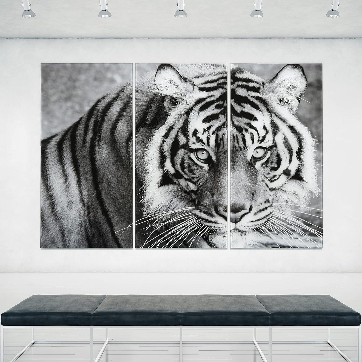 Empire Art Direct " Tiger ABC " 3 - Pieces