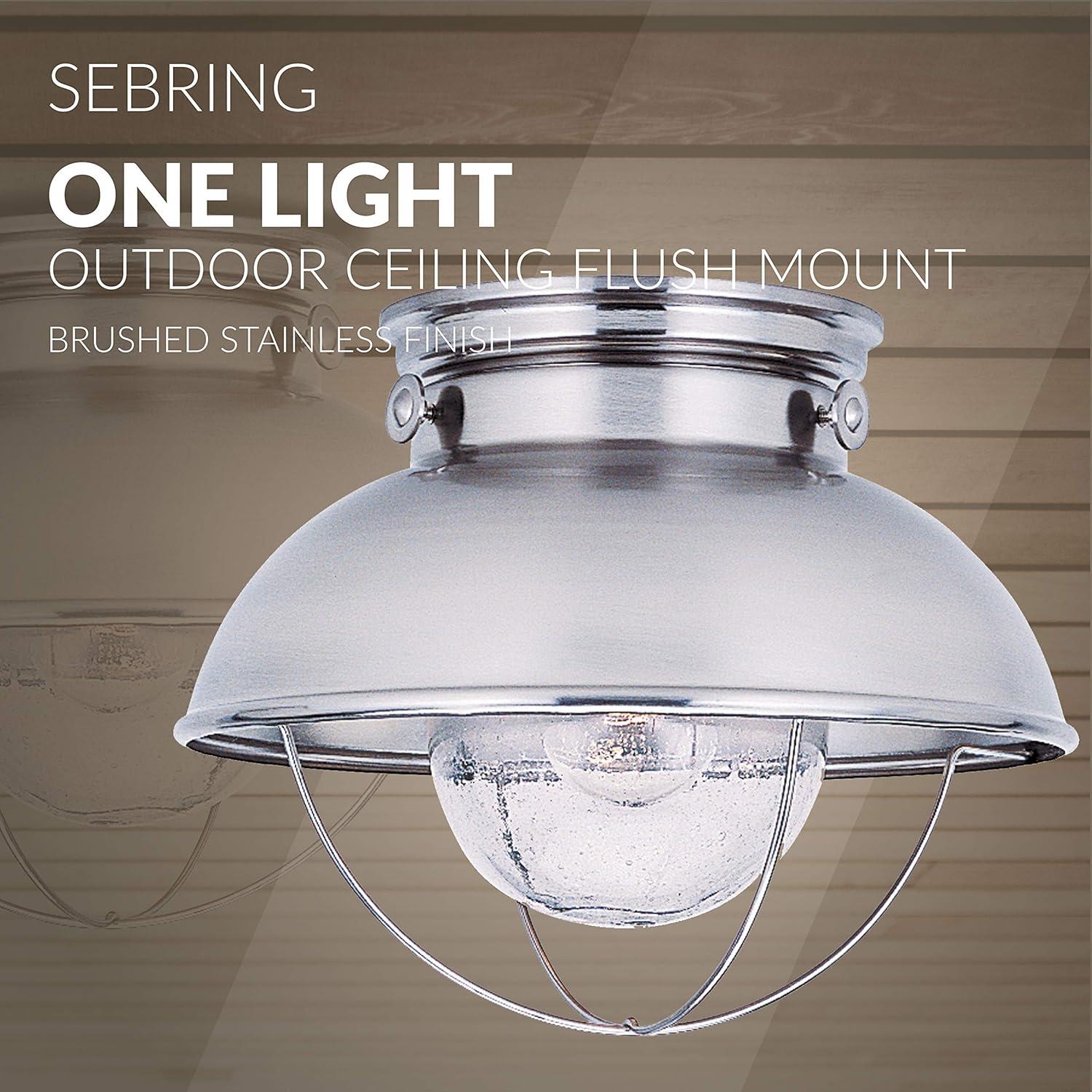 Brushed Stainless and Clear Glass Outdoor Flush Mount Light