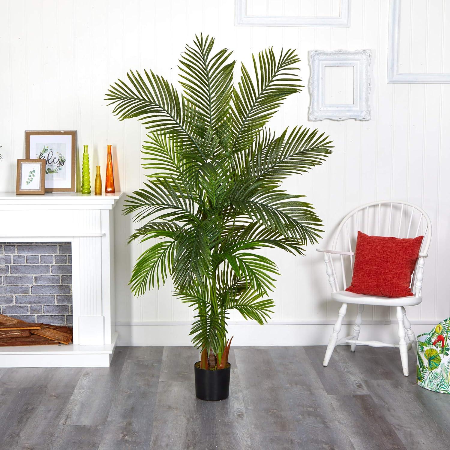 Tropical Summer 6' Lush Areca Palm in Nursery Planter