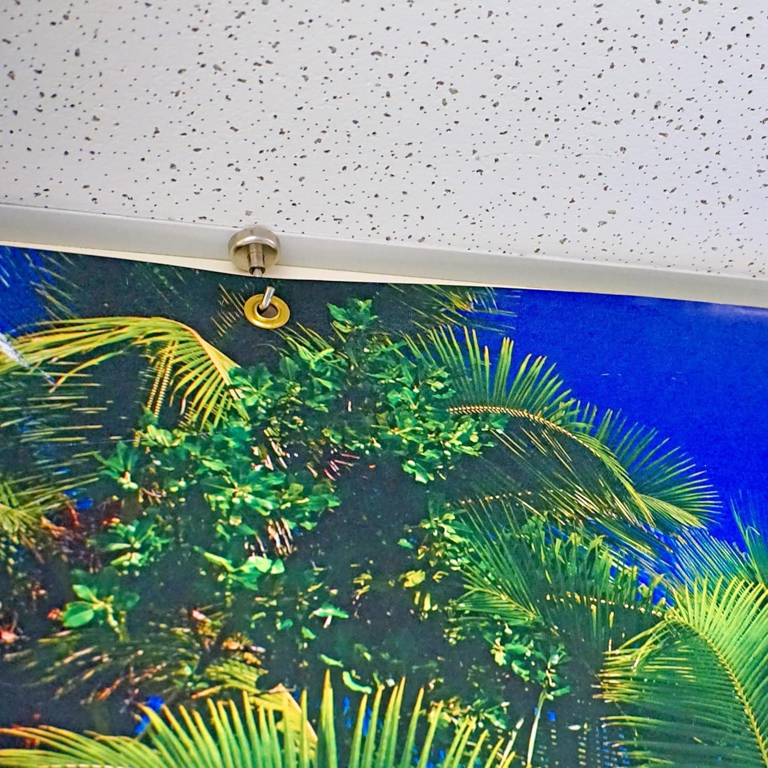 Master Magnetics 07632 The Magnet Source Magnetic Hook, Silver