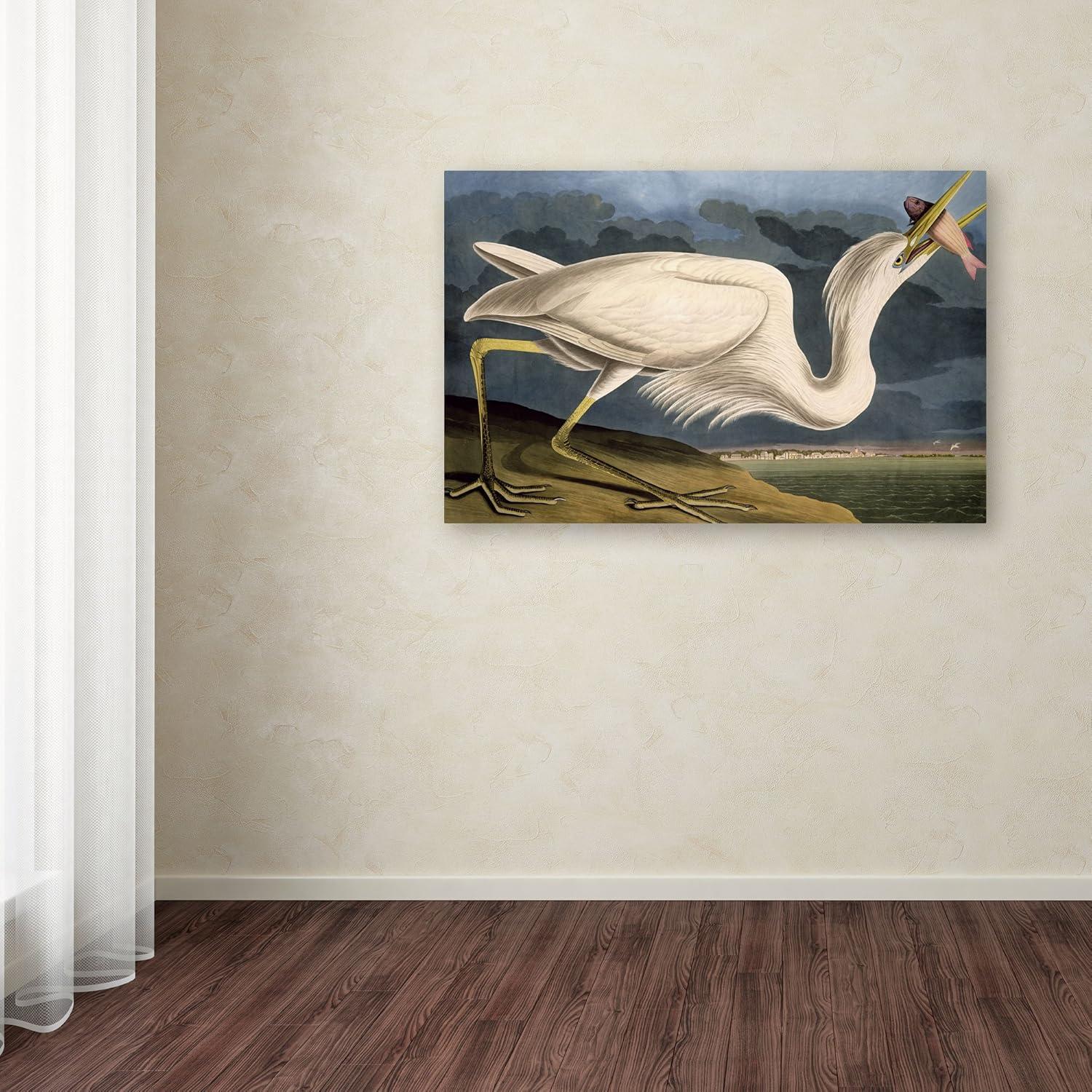 Art.com Great White Heron Art Print by John James Audubon, 24" x 16"