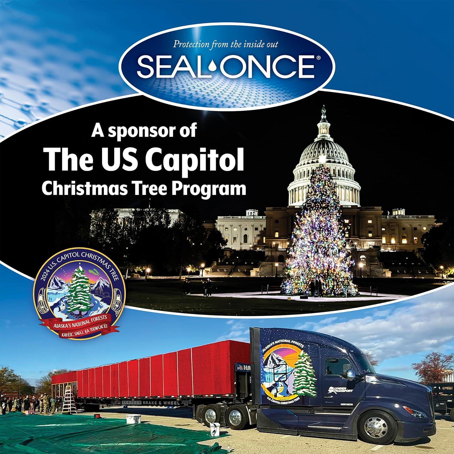 Seal Once MARINE Clear Premium Wood Sealer, 1 Gallon