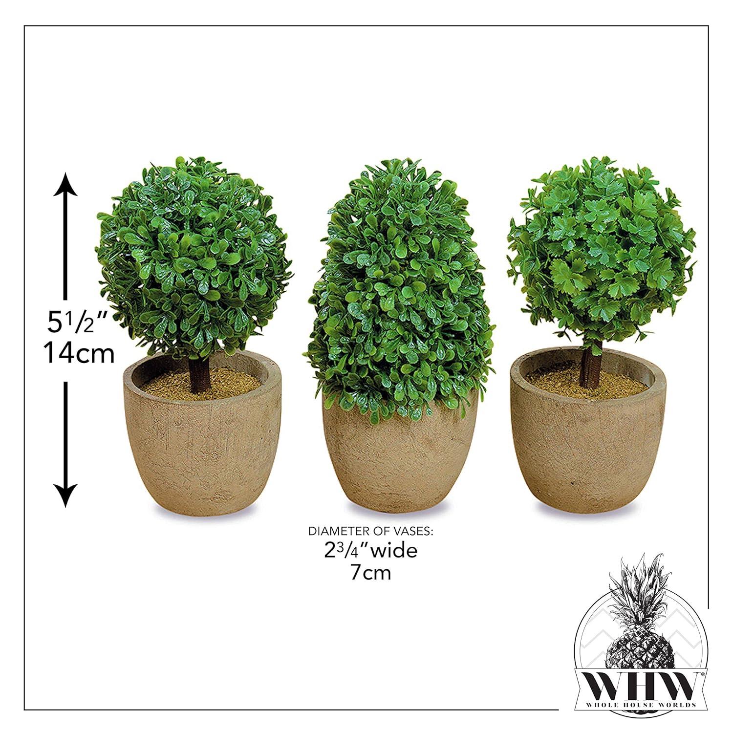 Realistic Faux Boxwood Sculptural Topiary, Set of 3, Curly Leaf, Cone and Ball Tops, Gray Stone Pot, Each 5 1/2 Inches Tall, Mixed Materials