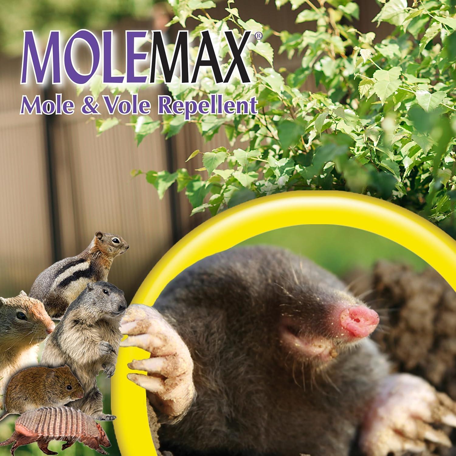 Bonide Mole Max 10 lb Mole & Vole Repellent Granules Ready-to-Use