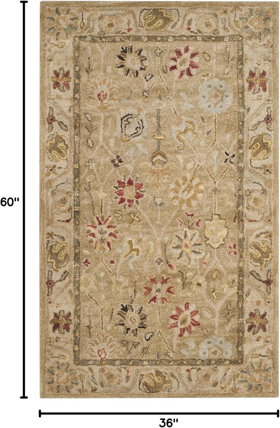 Antiquity AT859 Hand Tufted Area Rug  - Safavieh