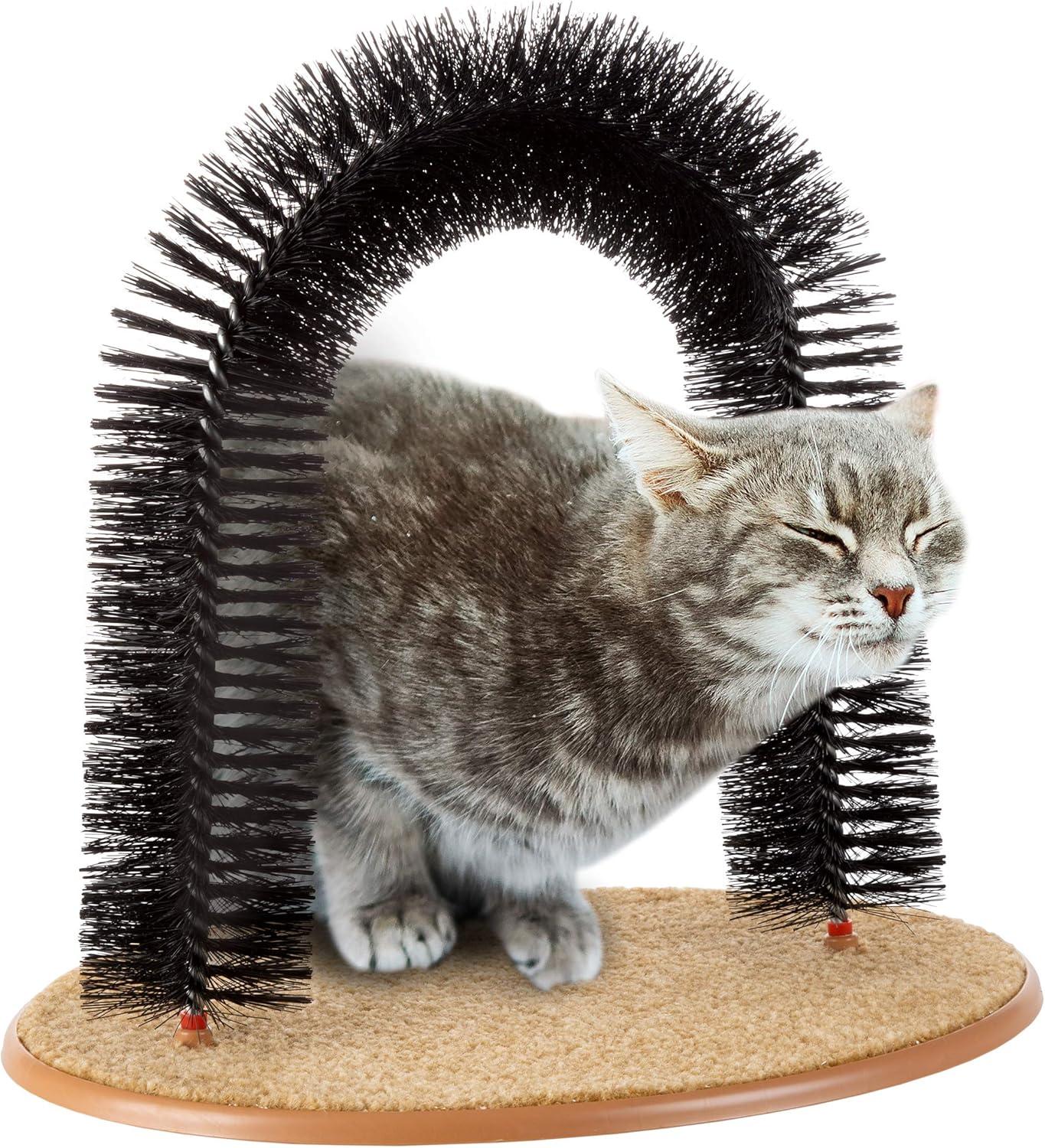 Black Bristle Ring Brush Cat Arch with Carpeted Base