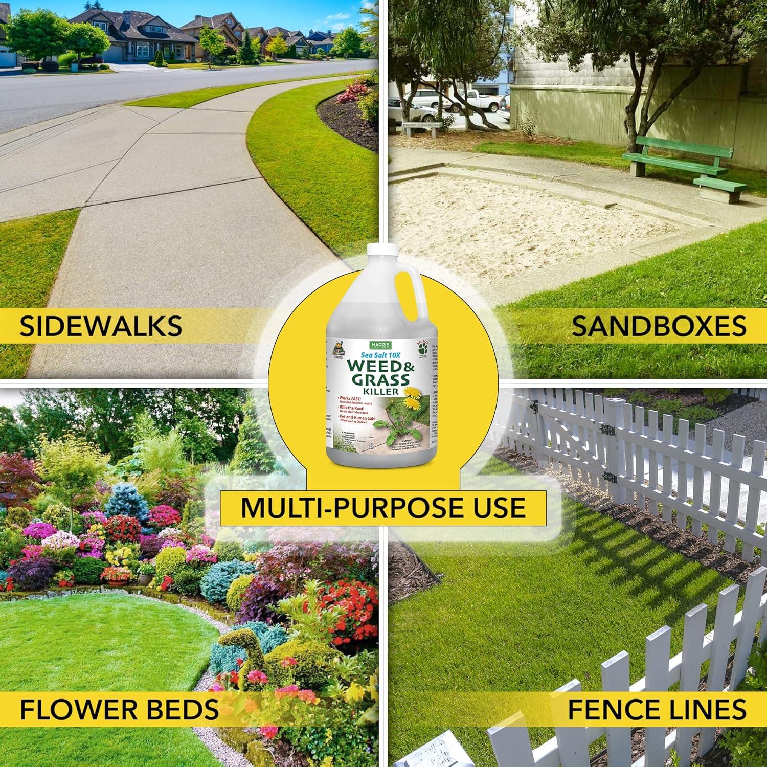 Harris Sea Salt 10X Organic Weed & Grass Killer, 1 Gallon